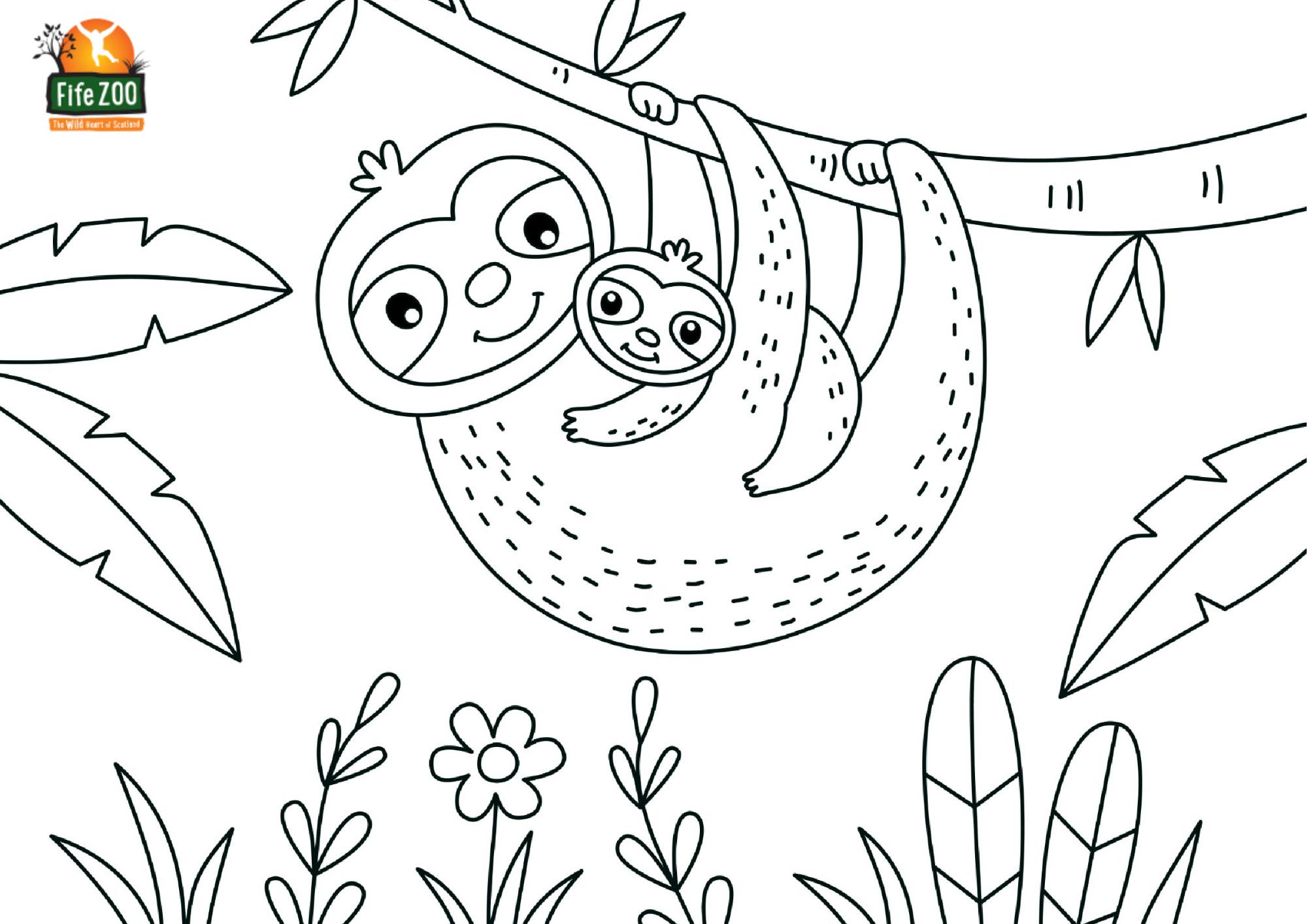 Spending time indoors with the little ones this weekend? Why not print out some of our brand new colouring sheets?
They're free to download on our website
https://www.fifezoo.org/free-resources
#freethingstodowithkids #freethingstodo #colouring