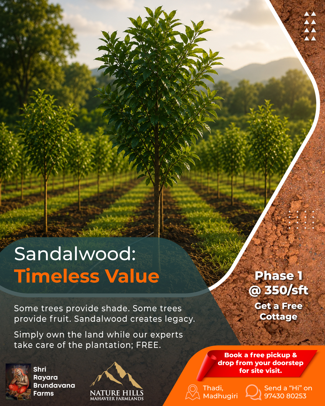 🌳 Sandalwood: The Tree of Timeless Value
Some trees provide shade.
Some trees provide fruit.
Sandalwood creates legacy.
At Nature Hills Mahaveer Farmlands, every 6,000 sq.ft plot is thoughtfully planned with premium Sandalwood plantations that are professionally nurtured and maintained for long-term growth.
🌳 Premium Sandalwood Plantation
👨🌾 15 Years of Free Maintenance
💧 Scientific Plantation Management
🌿 Expert Care by Experienced Farmers
Sandalwood is one of the most sought-after timber species, known for its rarity, demand and enduring value. As the plantation matures, so does the potential of your land.
No farming experience needed.
No day-to-day management required.
Simply own the land while our experts take care of the plantation.
🌿 Plant today. Grow wealth for tomorrow.
📲 Send a Hi on 97430 80253
#NatureHillsMahaveerFarmlands #SandalwoodPlantation #ManagedFarmlands #GreenWealth #PremiumFarmlands #TimberInvestment #FarmPlotsNearBangalore #LandInvestmentIndia #NatureInspired #LongTermWealth #AgroInvestment #RealAssetInvestment #FarmLifeIndia #WealthCreation #GreenAssets