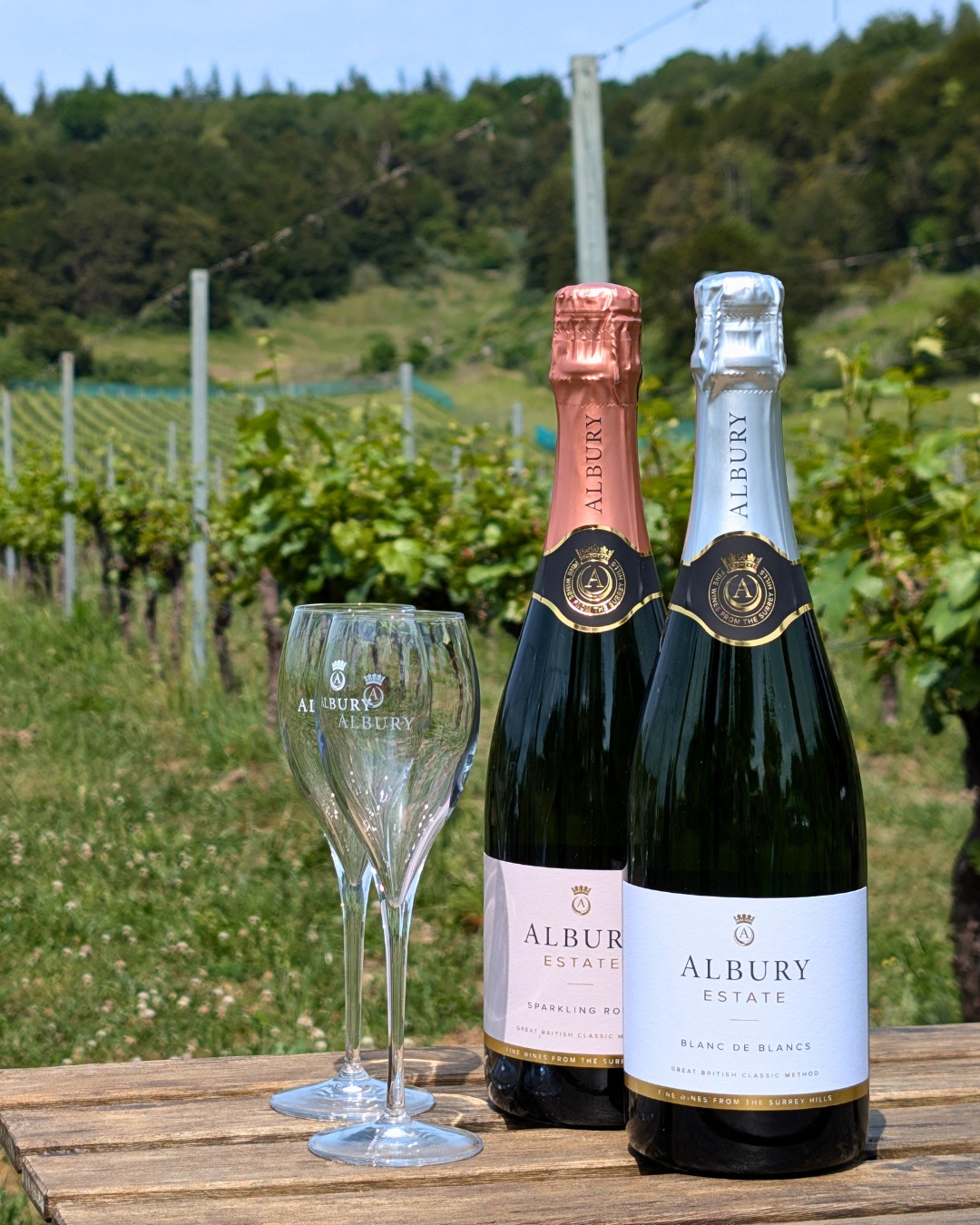 As Surrey Hills Wine Week draws to a close, we're proud to celebrate one of our fantastic drinks partners, Albury Organic Vineyard.
This summer, we're bringing the very best of Surrey to Live at Loseley, and that includes some of the finest English sparkling wine around.
Guests joining us in the VIP area will enjoy a bottle of Albury Estate Blanc de Blanc as part of their British Fine Foods picnic experience, while Albury's Sparkling Rosé will also be available to enjoy from our bars throughout the weekend.
Set against the beautiful backdrop of Loseley Park, it's the perfect pairing for an unforgettable summer evening of music, food and celebration.
And keep your eyes peeled... 👀
We'll soon be giving you the chance to win tickets to Live at Loseley, along with something rather special from Albury Organic Vineyard.
🍾 Here's to supporting local, celebrating British produce, and enjoying a glass of Surrey's finest this summer.
#LiveAtLoseley #SurreyHillsWineWeek #AlburyOrganicVineyard #EnglishWine #SurreyHills #VisitSurrey #MusicalsUnderTheStars #SummerInSurrey #SupportLocal #DrinkLocal @surreyvineyards @visitsurrey