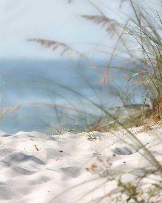 BikinisBoutique #capdagde🌴🌞 #plage#mediterranee #mediterranée