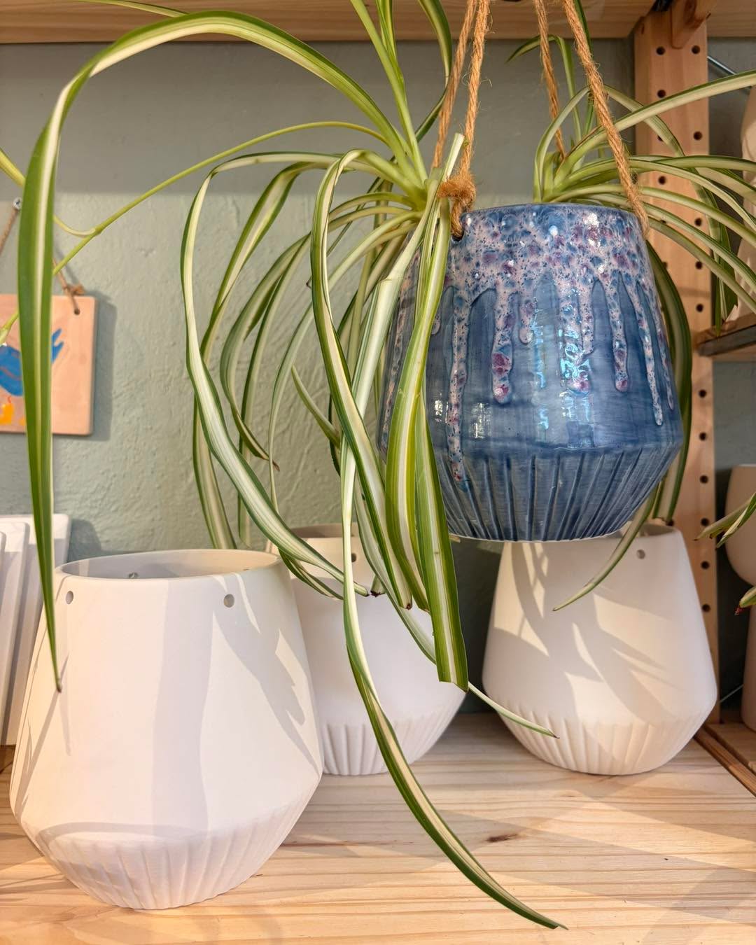 We’ve had some lovely new pottery arrive in the studio this week! ✨
Including some gorgeous new planters 🌿 and jugs (which are always a favourite!) 🤍
If you spot something you absolutely have your heart set on, feel free to pop us a message to reserve it. We can send over a payment link and keep it aside for you until your visit.
As always, our pottery selection changes regularly and stock is often limited, so once a design has gone, it may not come back in for a while!
Which one are you choosing? 👀
P.S. We’ve got a few tables of 2 available tomorrow morning! 🎨
10:00–11:45am (DM to book – these won’t show online) or 12:00–2:00pm. The rest of Sunday is fully booked 🤍
#PotteryPainting #PlantLover #CreativeDayOut #Tiverton #DevonLife