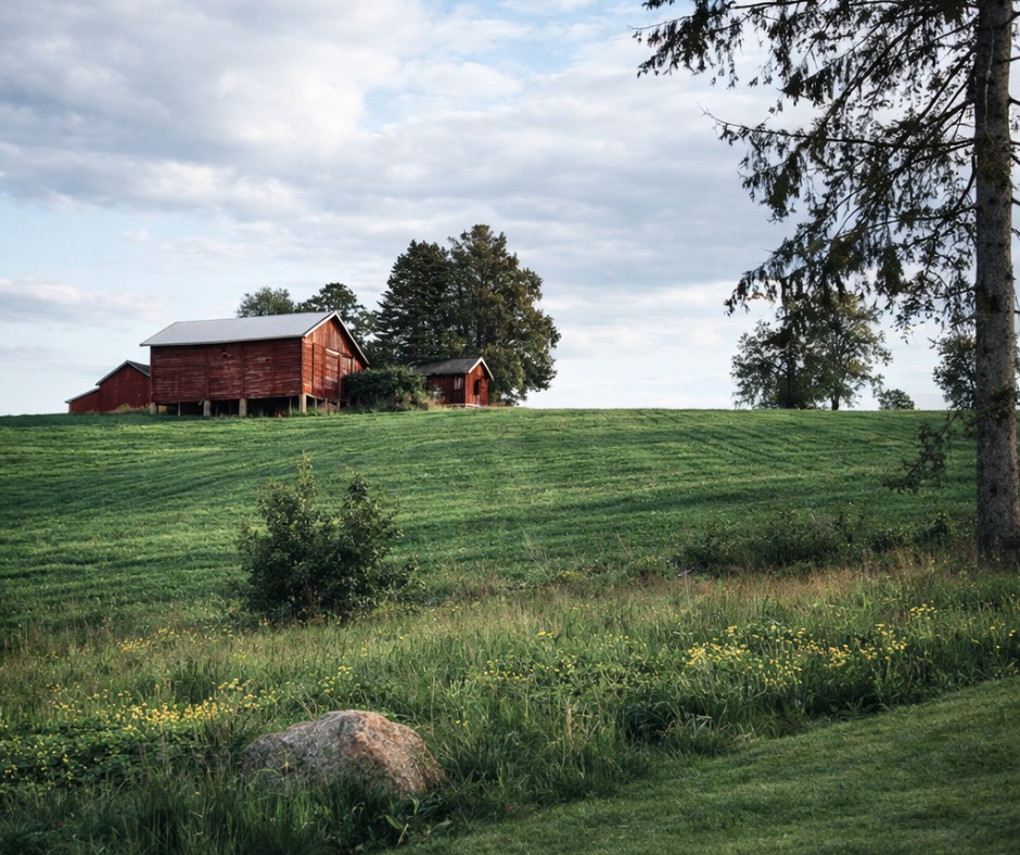 🌾 𝗥𝗲𝘁𝘁 𝘂𝘁𝗲𝗻𝗳𝗼𝗿 𝗱ø𝗿𝗮 𝗽å 𝗢𝗱𝗶𝗻 – 𝘃𝗲𝗱 𝗧𝘆𝗿𝗶𝗳𝗷𝗼𝗿𝗱𝗲𝗻
Visste du at området rundt oss byr på åpne jorder, skogstier, flotte sykkelmuligheter, dyreliv, historie og nærhet til fjorden?
Her kan du ta en liten morgen- eller ettermiddagstur, utforske nærområdet med barna – eller bare nyte stillheten.
Odin Camping handler om mer enn plasser og hytter. Det handler om naturen, området – og følelsen av å virkelig være på ferie.
👉 𝗣𝗹𝗮𝗻𝗹𝗲𝗴𝗴𝗲𝗿 𝗱𝘂 𝘀𝗼𝗺𝗺𝗲𝗿𝗲𝗻?
Vi har fortsatt ledige plasser – send oss en melding her på Facebook eller book via nettsiden.
Vi sees!
#OdinCamping #Norgesferie #Campingliv #Tyrifjorden #UtPåTur #SommerINorge