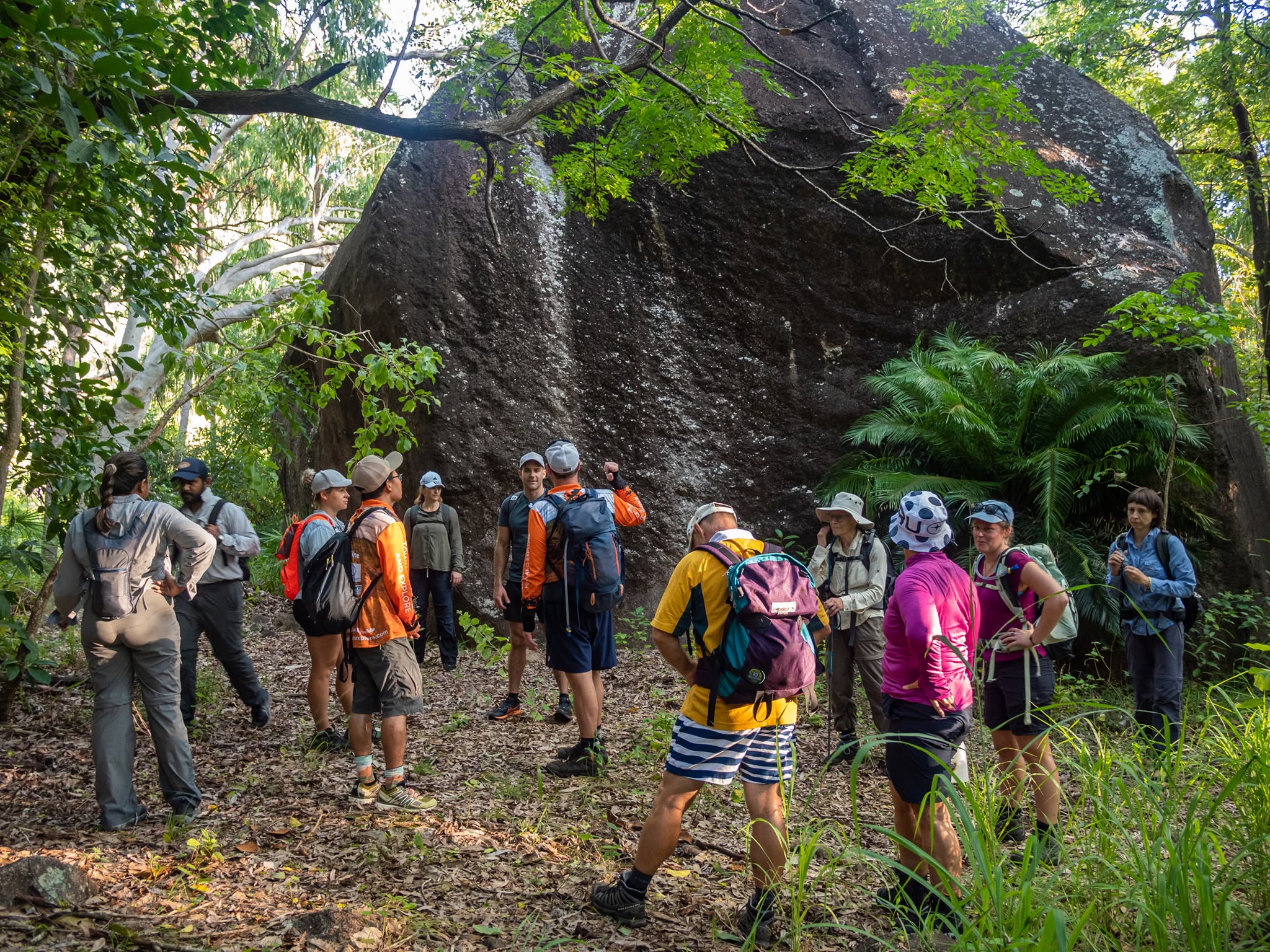 🌞 Another weekend, another amazing adventure with the crew! There’s nothing better than exploring waterfalls, mountain peaks, and hidden gems with fellow outdoor lovers. 🌿🥾
Join us on an adventure soon and see the best NQ has to offer!
#townsvillehikeandexplore #explorenq #northqueensland #AdventureAwaits #HikingCommunity @townsvillenorthqueensland @cictownsville @hike_australia @townsvillecouncil @qldparks