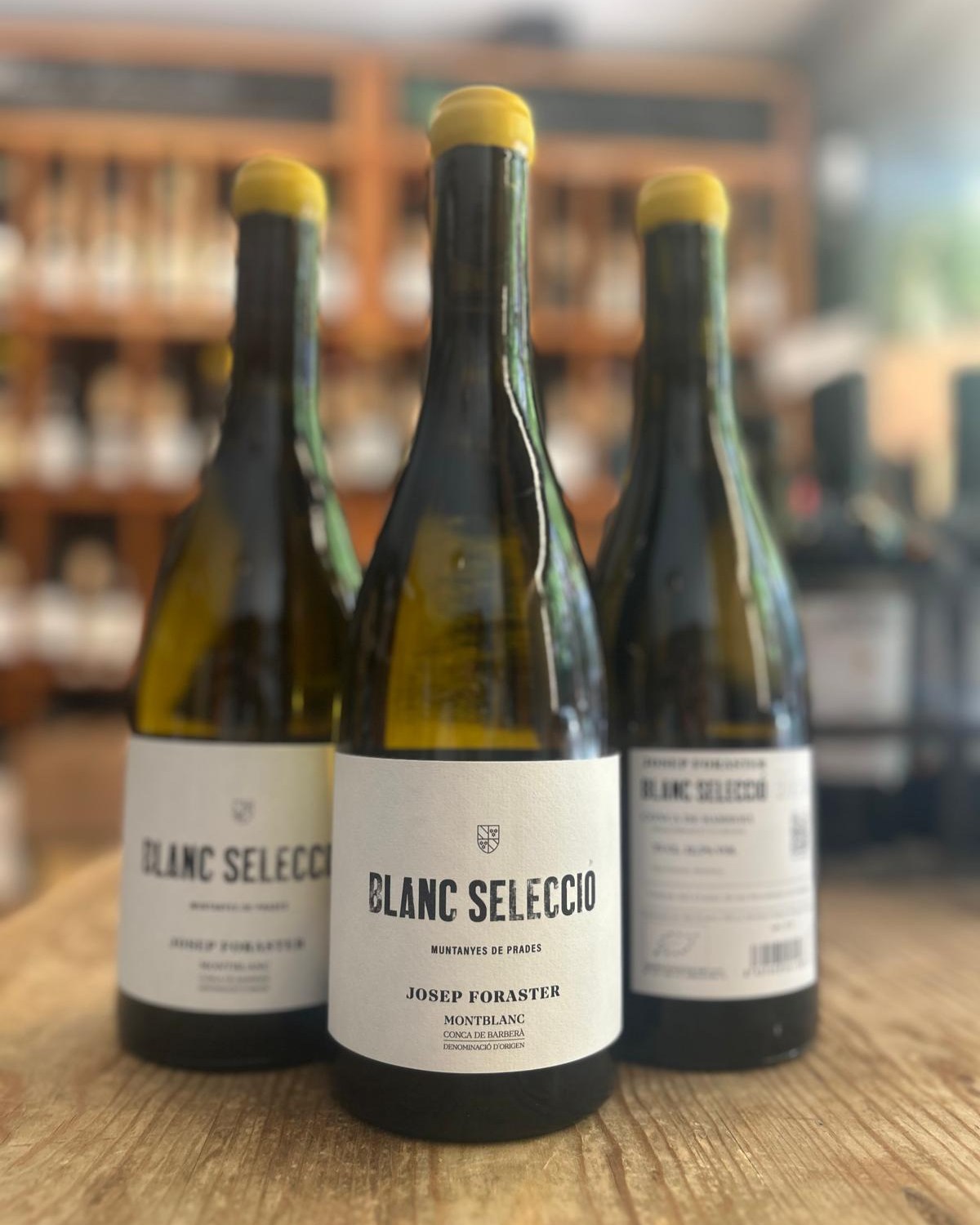 Ya tenemos en Tierra las nuevas añadas de La Moto, Blanc Selecció y La Robina, tres vinos que reflejan la forma de entender el viñedo de Josep Foraster.
🥂 Blanc Selecció — trabajo sobre lías y crianza parcial en madera para conseguir volumen, complejidad y una elegancia que se alarga en cada sorbo.
🍇 La Robina — un Trepat de parcela que habla de suelo, paisaje y tiempo. Profundo, mineral y extraordinariamente fino.
🍷 La Moto — fruta fresca, equilibrio y una expresión honesta del territorio. Un tinto vibrante y gastronómico.
Tres maneras de descubrir la Conca de Barberà. ¿Con cuál empezarías? 🍷👇
📍Ya disponibles en tienda y online. ¡No te quedes sin probarlos!