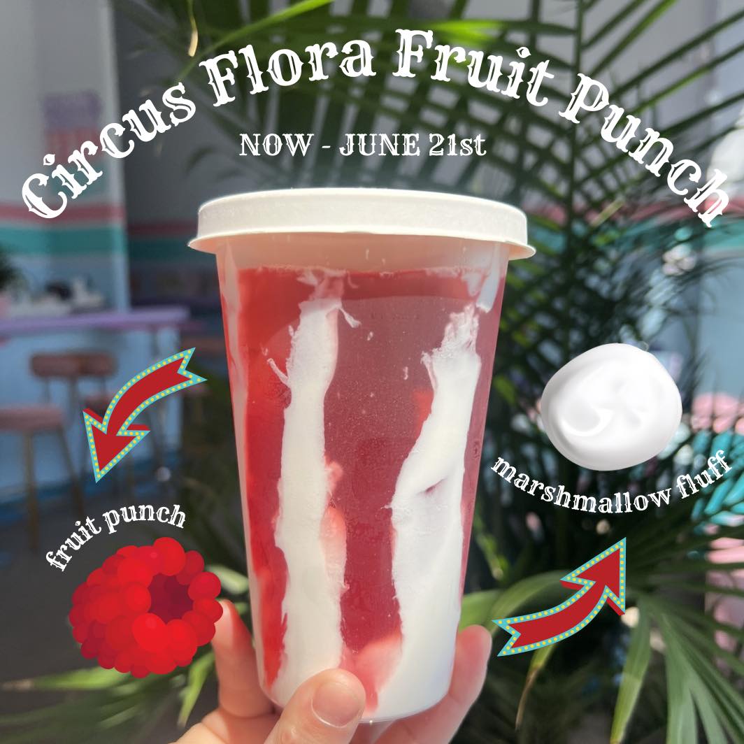 Swing by Bo.co on your way to @circusflora for our limited 🎪Circus Flora Fruit Punch🤹♀️ Celebrate their 40th anniversary with our Big Top inspired treats from now - June 21st🤸♀️ #circusflora #stlouis #bobatea #thingstodostl #stlcafe