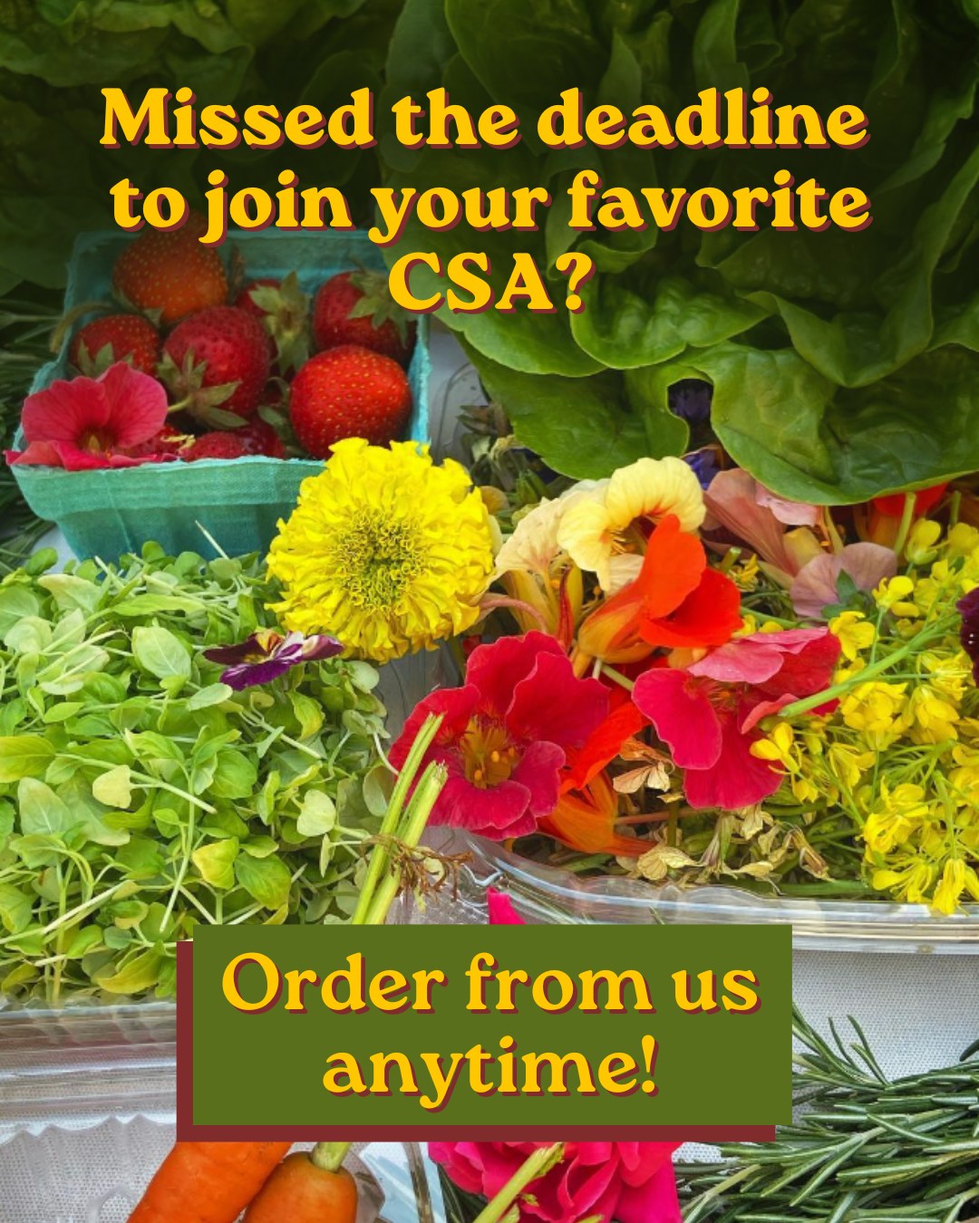 CSA season is here! If you missed the deadline to join your favorite local farm’s CSA, you can still find them through our online shopping portal where we source from 30+ local farms.
#MarylandCSA #BaltimoreEats #BuyLocalBaltimore #MarylandMade #ChesapeakeRegion #FarmToTable #LocalFood #SupportLocalFarms
