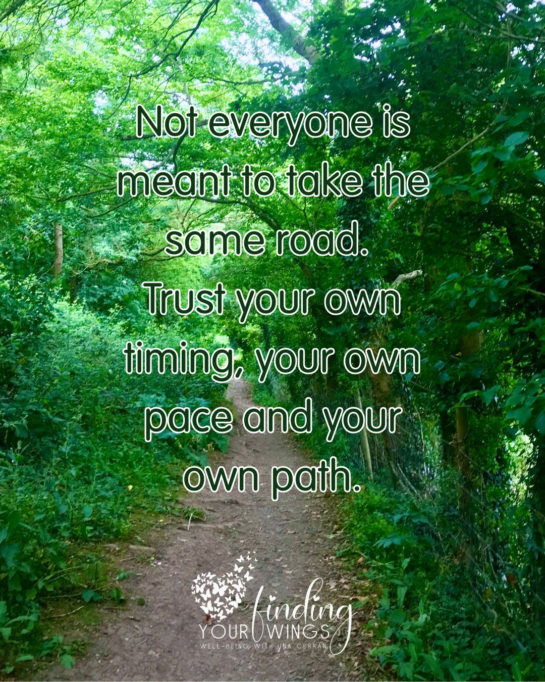 #WellbeingWednesday
Your path in life does not have to look like everyone else's.
We have to learn to trust where our feet are leading us and listen to our heart.
Four years ago, I decided to stop drinking alcohol, it wasn't because anyone told me to. I just felt it wasn't helping my mental or physical health.
It was simply the right path for me.
That choice became an important part of my wellbeing journey. My anxiety reduced and my intuition increased, I slept better and felt more able for the rollercoaster of peri-menopause and the challenges of life.
We all have different paths to wellbeing. What works for one person may not work for another. The important thing we have to learn to do is to listen to yourself and make choices that support your own health, happiness and peace of mind.
You know what is best for you when you give yourself time to tune in to your inner knowing.
Trust your own path, even if it looks different from everyone else's.
#wellbeingjourney #mindfulliving #selfcare #findingyourwingswellbeing #authenticliving #personalgrowth #mentalwellbeing #beyourself #alcholfree #followyourownpath