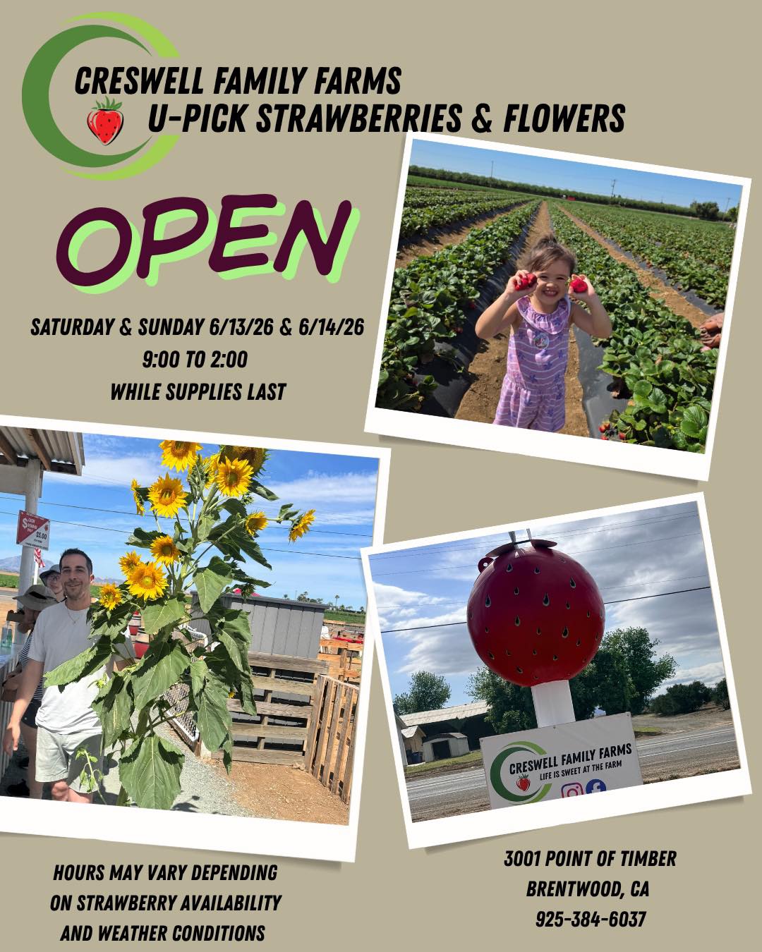 Come spend some time at the farm. Pick some strawberries and flowers 🌺 🍓