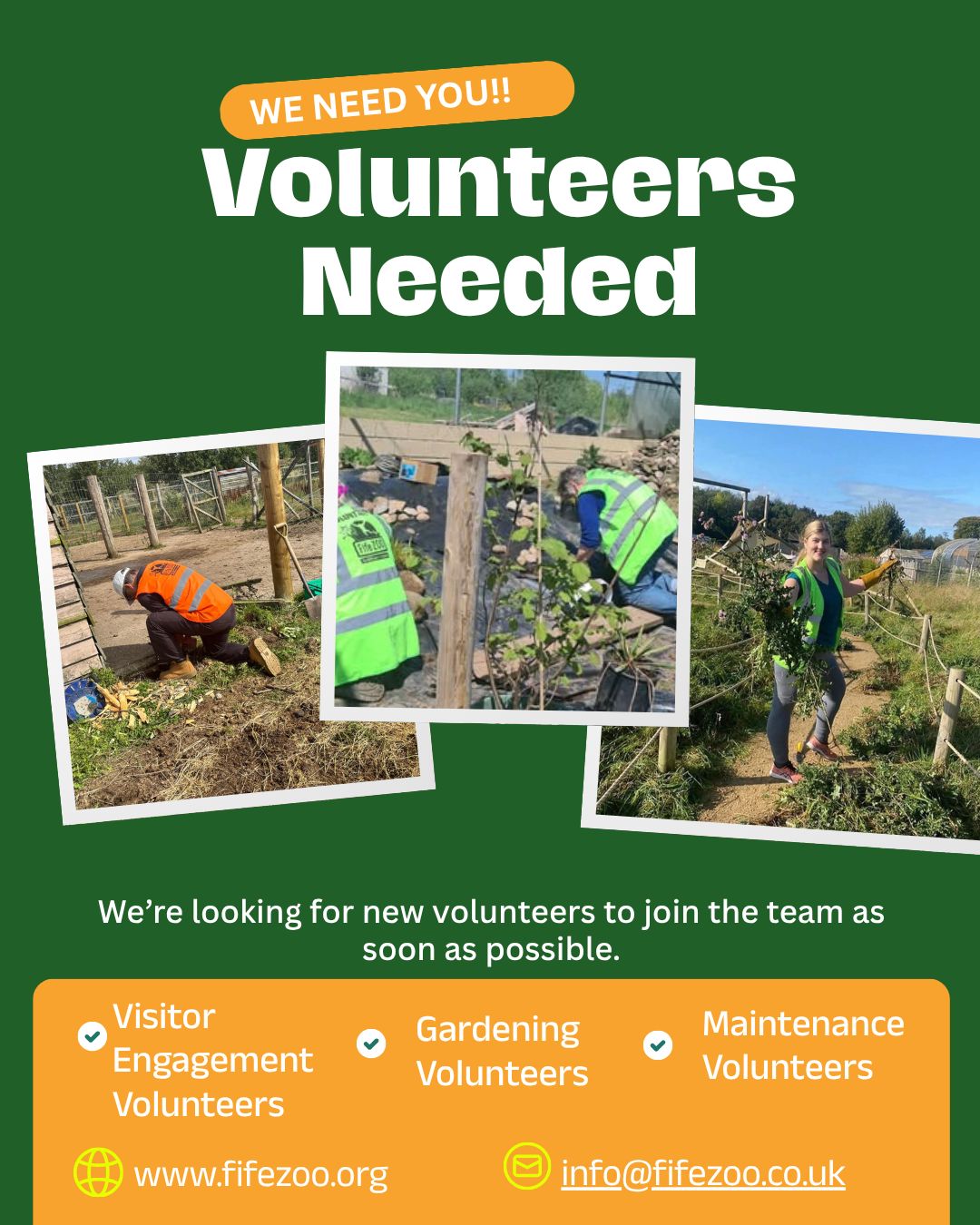 Volunteer with Fife Zoo 🦓🌿
Could you spare a little time to support Fife Zoo?
We’re currently looking for friendly, reliable volunteers to join our team and help with a range of roles around the zoo.
We’re especially looking for support with:
Visitor Engagement 🗣️
Helping in our walkthrough areas, chatting to visitors about the animals, answering simple questions and helping keep public areas clean and tidy.
Gardening & Maintenance 🌱🔧
Getting involved with practical outdoor jobs, helping with planting, tidying, general upkeep and supporting the team in keeping the zoo looking its best.
You don’t need to be an animal expert — just friendly, reliable and happy to get stuck in. Full guidance will be given, and you’ll be supported by the Fife Zoo team.
Whether you can offer a few hours here and there or would like to get involved more regularly, we’d love to hear from you.
Interested in volunteering at Fife Zoo?
Send us a message and we’ll let you know more about the roles available. 💚
#volunteer #zoojob #zookeeper #animalvolunteers