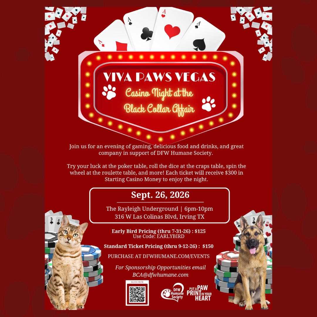 🎲🐾 SAVE THE DATE! 🐾🎲
Get ready to go all-in for homeless pets at Black Collar Affair: Viva Paws Vegas! Join us on September 26 at The Rayleigh Underground for an unforgettable evening of casino-style fun, exciting auctions, great food and drinks, and lifesaving support for the animals of DFW Humane Society.
🎟️ Early Bird Tickets are available now for just $125 when you use code EARLYBIRD at checkout through July 31!
Purchase tickets: DFWHumane.com/Events
Looking for a way to make an even bigger impact? Sponsorship opportunities are now available, and we're actively seeking donations for our Silent Auction. From unique experiences and gift cards to merchandise and services, every donation helps us raise critical funds for pets in need.
♠️ Place your bets on second chances.
♥️ Help shelter pets hit the jackpot: a loving home.
For sponsorship or auction donation information, email BCA@dfwhumane.com