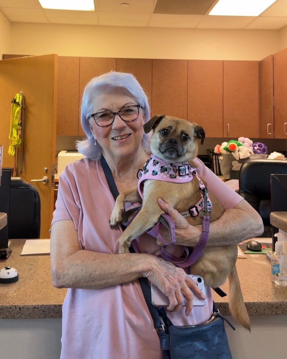 All hail Lady Jessamine! 👑 This sweet pug has officially found her forever home, and we couldn't be happier for her. Congratulations to Lady Jessamine and her new family 💖