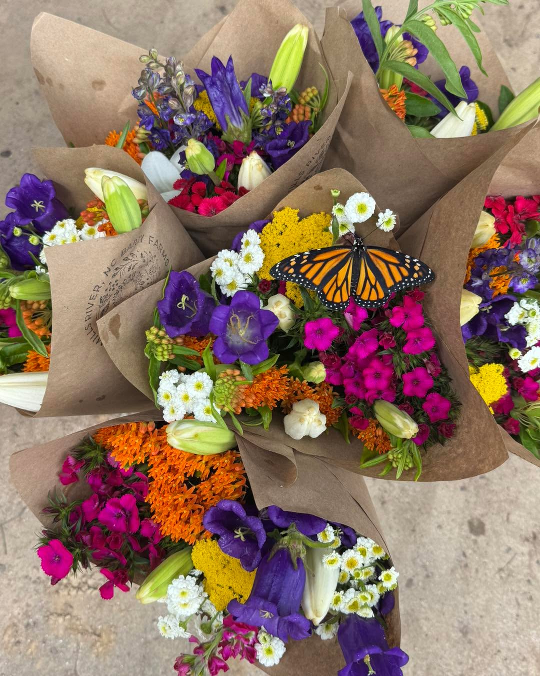 Flower shack Wednesday! Come by the shack and grab a beautiful bouquet and a mint plant! We have a special on mints this week and have so many fun varieties! Like chocolate, strawberry and mojito!!
📍 345 Kimzey Rd Mills River
10am-7pm Self-Serve: exact cash, check or Venmo
We are actually taking a two week shack break. Closed June 17 and 24 so come get these while you can!!