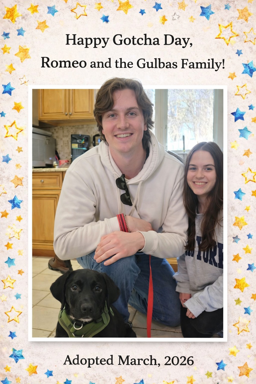 The arrow has been shot, and sweetie ROMEO has found his match! We are thrilled to announce that this gorgeous guy is the newest member of the wonderful Gulbas family. Let the good times roll, buddy, and have the best life ever. Happy Gotcha Day, everyone!