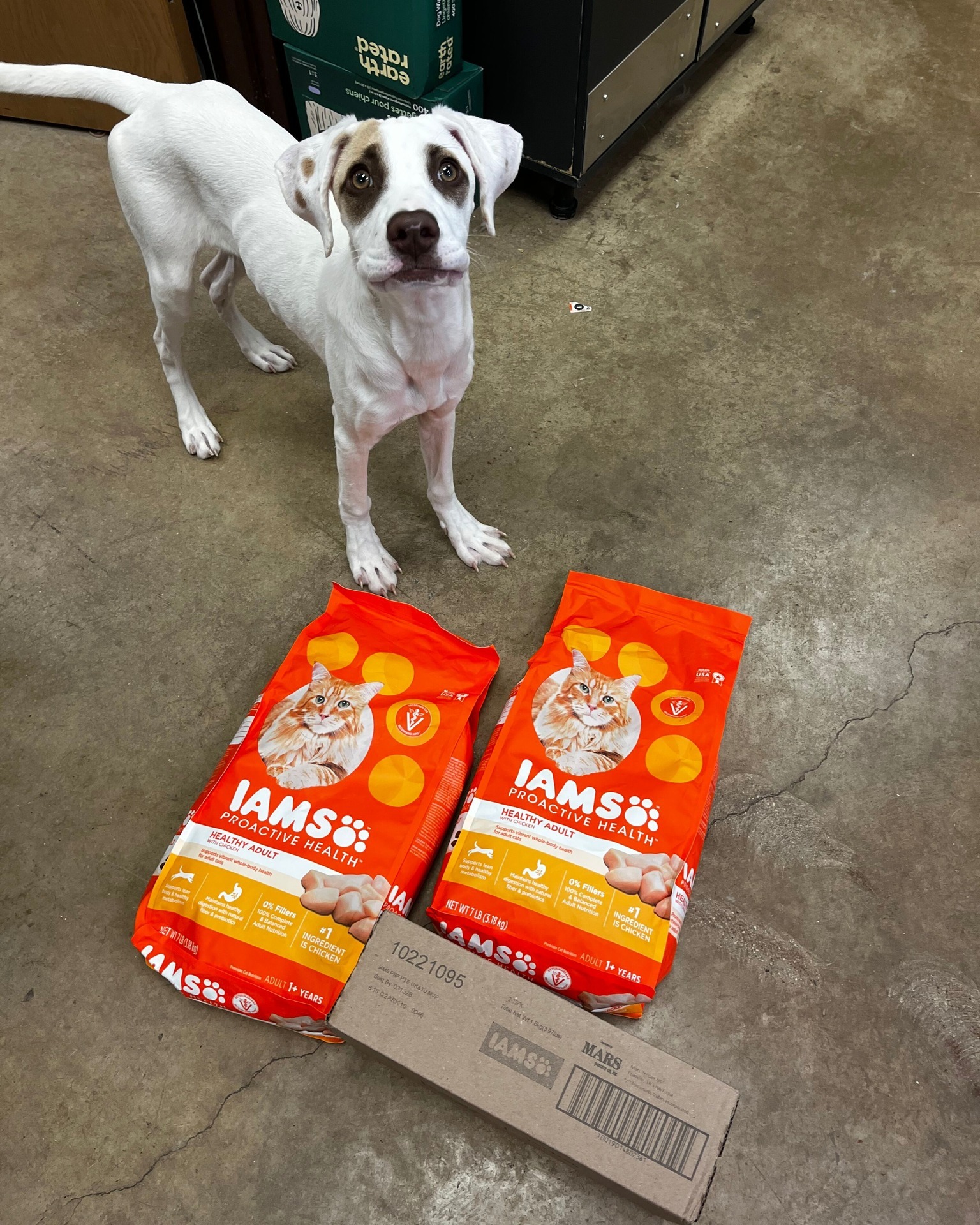 Pepperoni says THANK YOU to the amazing supporter who purchased from our Amazon Wishlist to help support our Pet Food Pantry! She loves when community comes together to help pet owners in need 💖