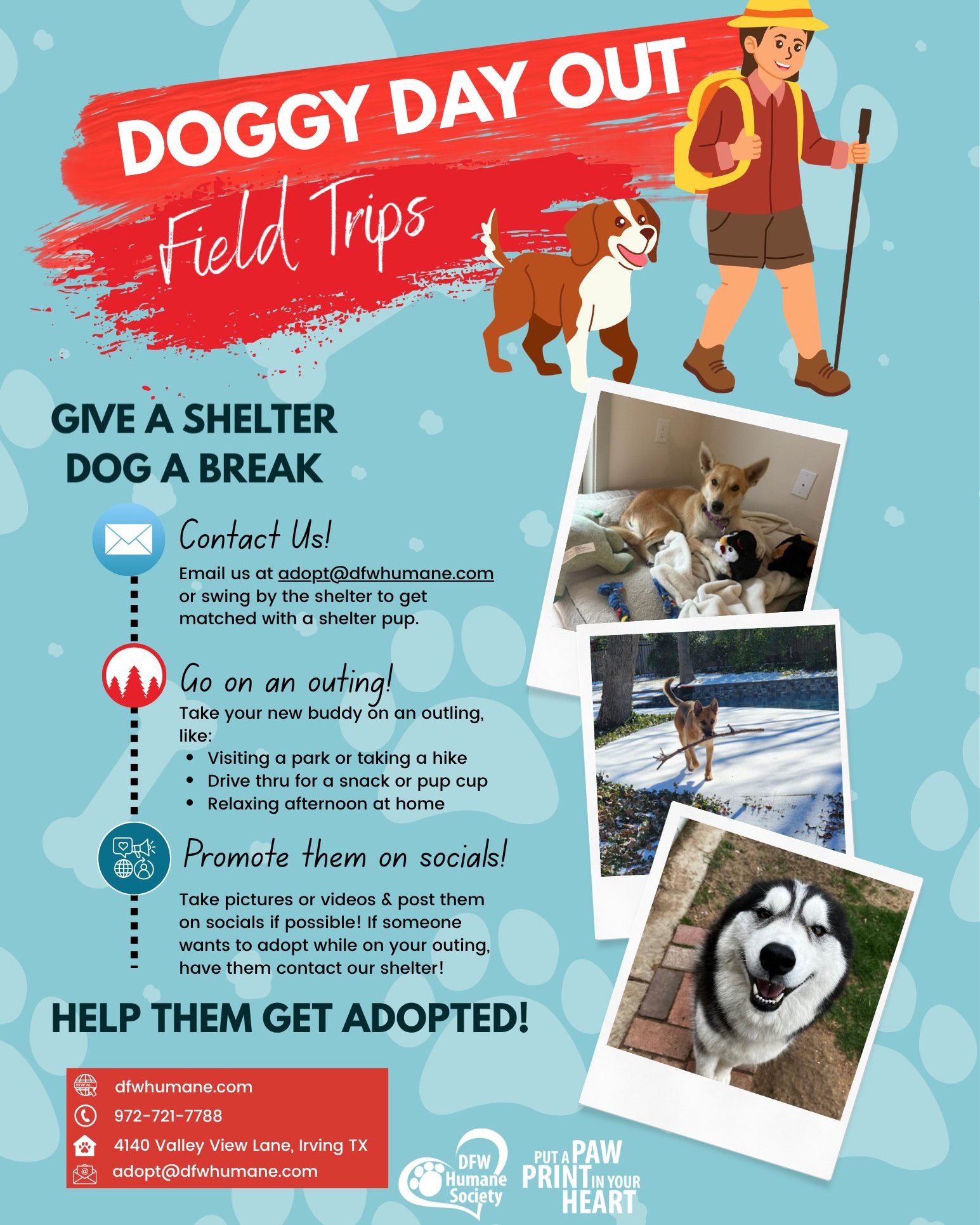 Looking for a fun way to help a shelter dog? 🤔🐾 Doggy Day Out gives pups a much-needed break from the shelter while helping them show off their personalities to potential adopters! Whether it's a trip to the park, a pup cup run, a hike, or simply relaxing at home, even a few hours can make a huge difference.
These outings help reduce stress, provide valuable enrichment, and give us great photos and information to share with adopters. You might even help a dog find their forever family!
Check out the infographic to learn more about how you can participate.
📧 Interested in adopting? Email: adopt@dfwhumane.com
📍 4140 Valley View Lane, Irving, TX 75038
🕐 Hours: Tues–Fri 11am–6pm | Sat 10am–5pm