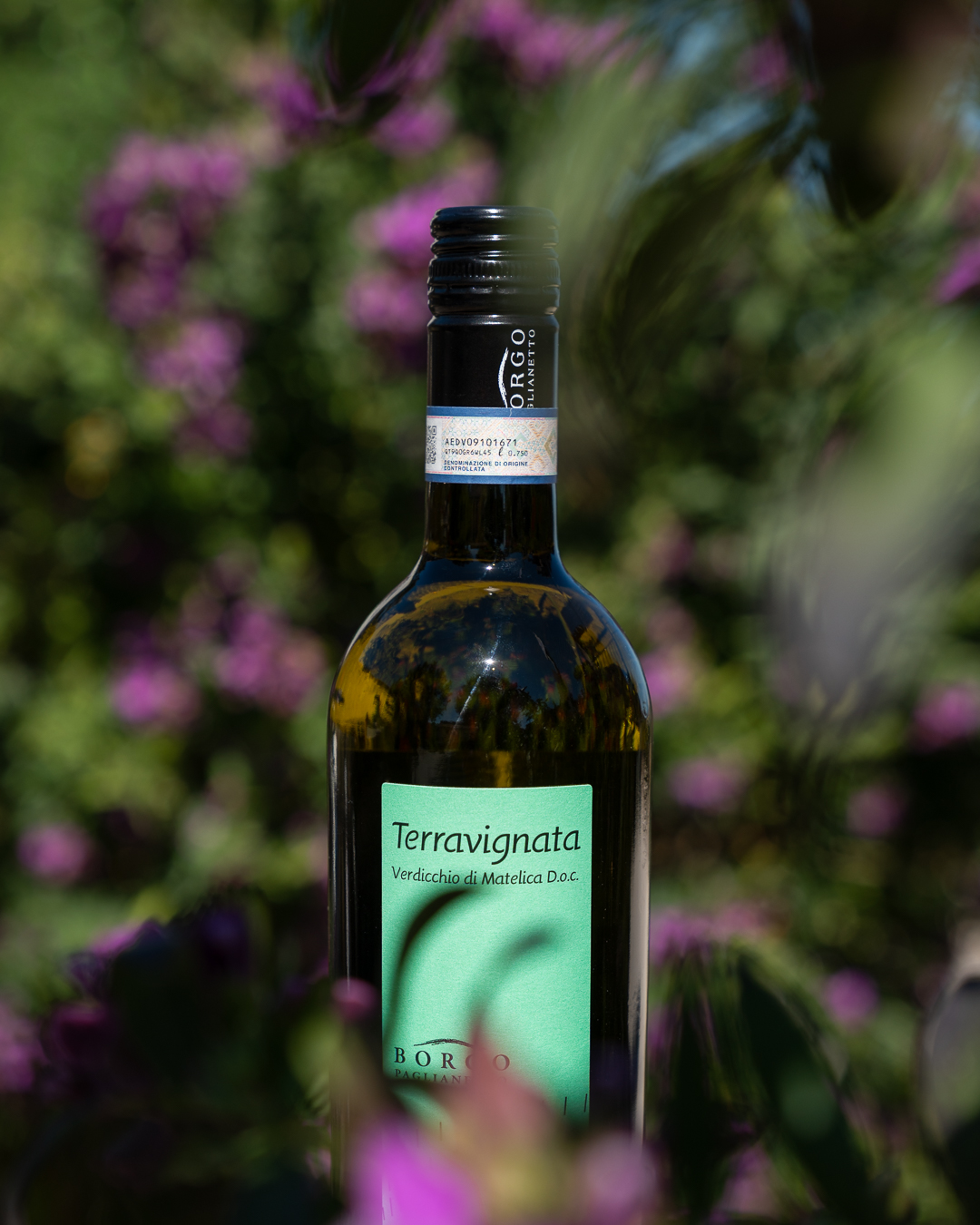 FACT #3
Terravignata esprime il lato più diretto e territoriale del Verdicchio di Matelica: agrumi, fiori bianchi e una spiccata mineralità.
Perché lo Stelvin?
Riducendo il rischio di variazioni tra una bottiglia e l'altra, permette di ritrovare con maggiore fedeltà il profilo aromatico immaginato in cantina.
Più precisione.
Più territorio nel bicchiere.
FACT #3
Terravignata expresses the most direct and territorial side of Verdicchio di Matelica: citrus, white flowers, and a marked minerality.
Why Stelvin?
By reducing the risk of bottle-to-bottle variation, it allows a more faithful expression of the aromatic profile envisioned in the cellar.
More precision.
More terroir in the glass.
#PerchéStelvin #Terravignata #BorgoPaglianetto #VerdicchioDiMatelica
