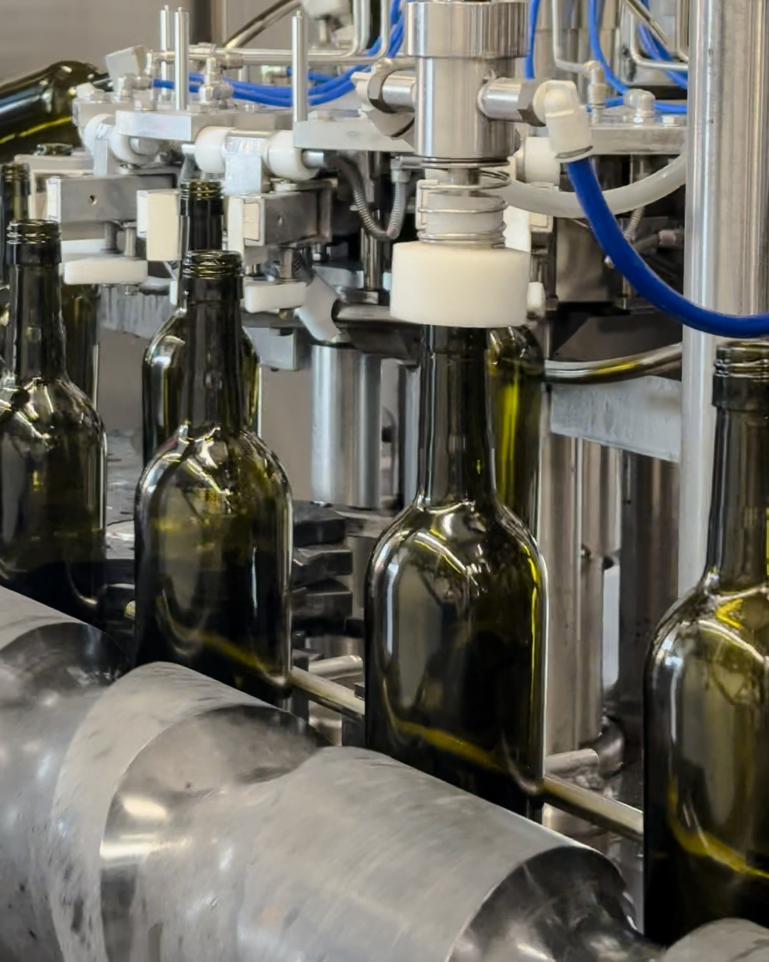 Da oggi, i nostri vini dalla vendemmia 2025 adottano un nuovo sigillo di qualità: il tappo a vite Stelvin.
Una scelta che garantisce maggiore integrità aromatica, freschezza e sicurezza nel tempo, senza compromessi sull’eleganza del vino.
Innovazione e rispetto del prodotto, per portare nel calice tutta la purezza del nostro lavoro. 🍷✨
From today, our 2025 vintage wines will be sealed with a new mark of quality: the Stelvin screw cap.
A choice designed to preserve aromatic integrity, freshness, and long-term consistency—without compromising the wine’s elegance.
Innovation in the service of quality, to bring the purest expression of our work into every glass. 🍷✨
#PerchéStelvin #BorgoPaglianetto #Petrara #Terravignata #Ergon #VerdicchioDiMatelica #WineTasting #WineEvolution #Stelvin