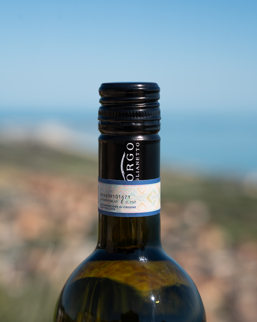 FACT #2
Petrara è un Verdicchio che fa dell’equilibrio una delle sue qualità più affascinanti.
Perché lo Stelvin?
Grazie a una gestione controllata dell'ossigeno, questa chiusura aiuta a preservare nel tempo freschezza, acidità e precisione aromatica, elementi fondamentali per l'evoluzione del Verdicchio di Matelica.
Il tempo passa.
L'identità del vino resta.
FACT #2
Petrara is a Verdicchio that makes balance one of its most compelling qualities.
Why Stelvin?
Thanks to controlled oxygen management, this closure helps preserve freshness, acidity, and aromatic precision over time—key elements in the evolution of Verdicchio di Matelica.
Time passes.
The wine’s identity remains.
#PerchéStelvin #Petrara #BorgoPaglianetto #VerdicchioDiMatelica