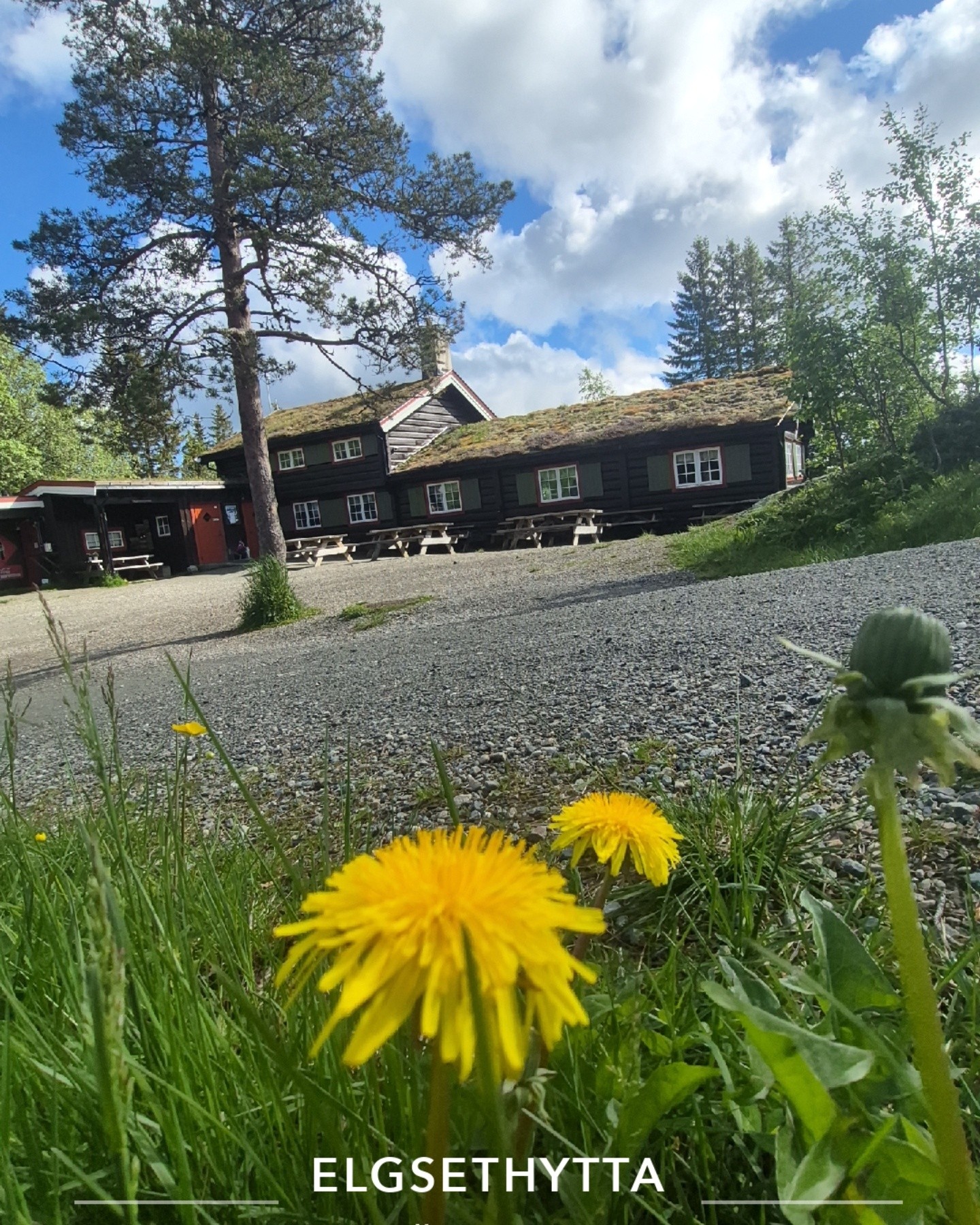 God lørdag,og for en spennende lørdag det er for Trondheim!! Som arrangerer L'Etap sykkelritt idag🚲🚲🚲🚲
Håper mange,mange stiller opp rundt løypa og lager stemning🙂🙂🙂🙂
Vi heier fra Elgsethytta,som har åpent 10.00-16.00🙂🙂🙂