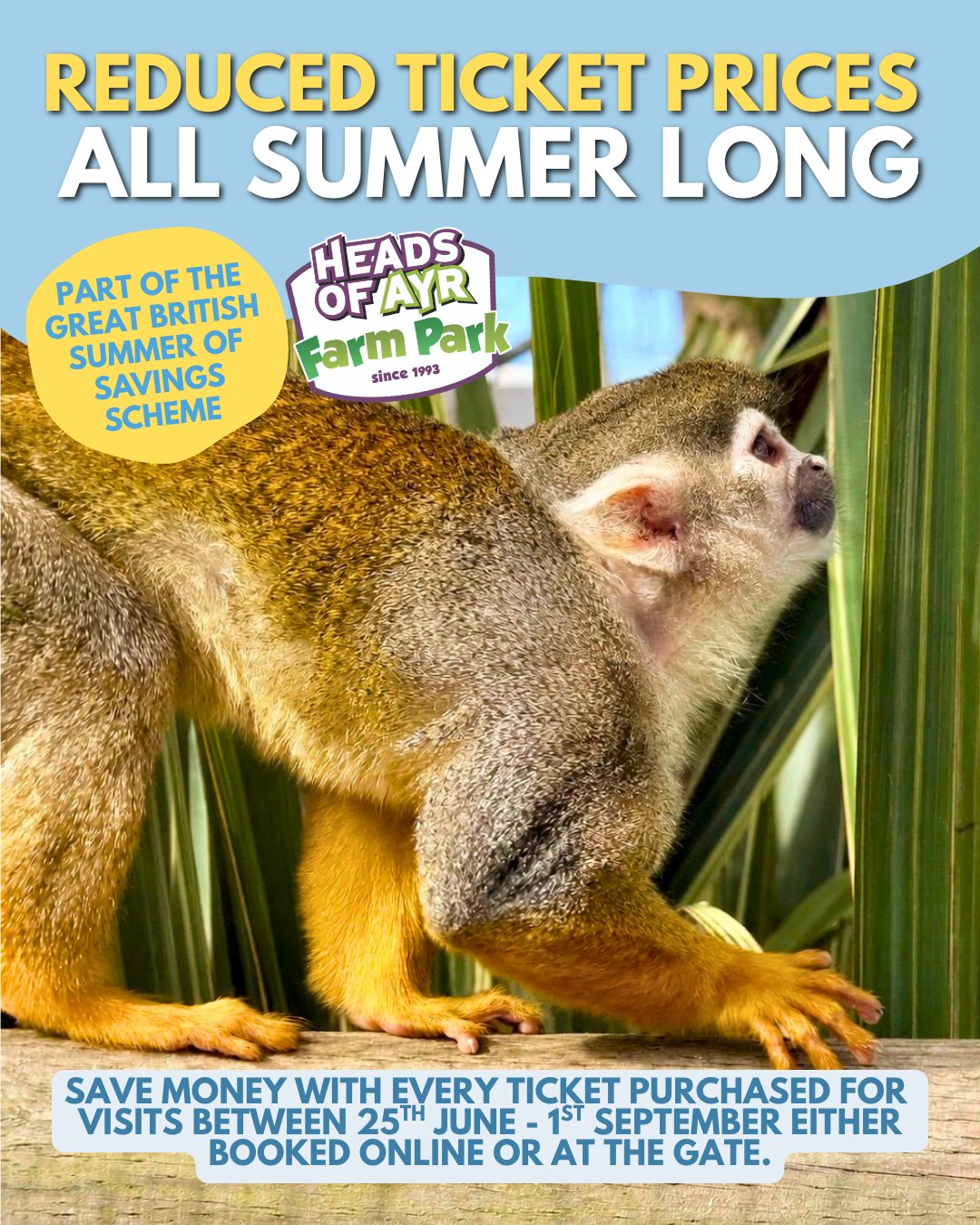 โ We're so pleased be taking part in the Great British Summer Savings Scheme! โ
From 25thJune to 1st September 2026, the UK Government is reducing VAT on childrenโs meals and family days out across the UK to help families save money this summer. ๐๐
We're applying this discount on both online and gate tickets, but as always, you'll save more if you book online. We'll also be releasing a Summer Savers kids menu in the coming weeks. ๐ฐ
BOOK ONLINE FOR THE BIGGEST SAVINGS!
For adults and children over 2, tickets will go down to ยฃ14.45 per person online, ยฃ12.25 for seniors, and just ยฃ5.70 for 1 year olds!
(If you have already booked online for these dates, we are in the process of refunding the difference to you.)
๐ Book your spot today for summer fun at www.headsofayrtickets.co.uk ๐
#greatbritishsummersavings #dayout #ayrshire #glasgow #stirling #dumfriesandgalloway #headsofayrfarmpark #whatsonayrshire #whatsonglasgow #summerholidays