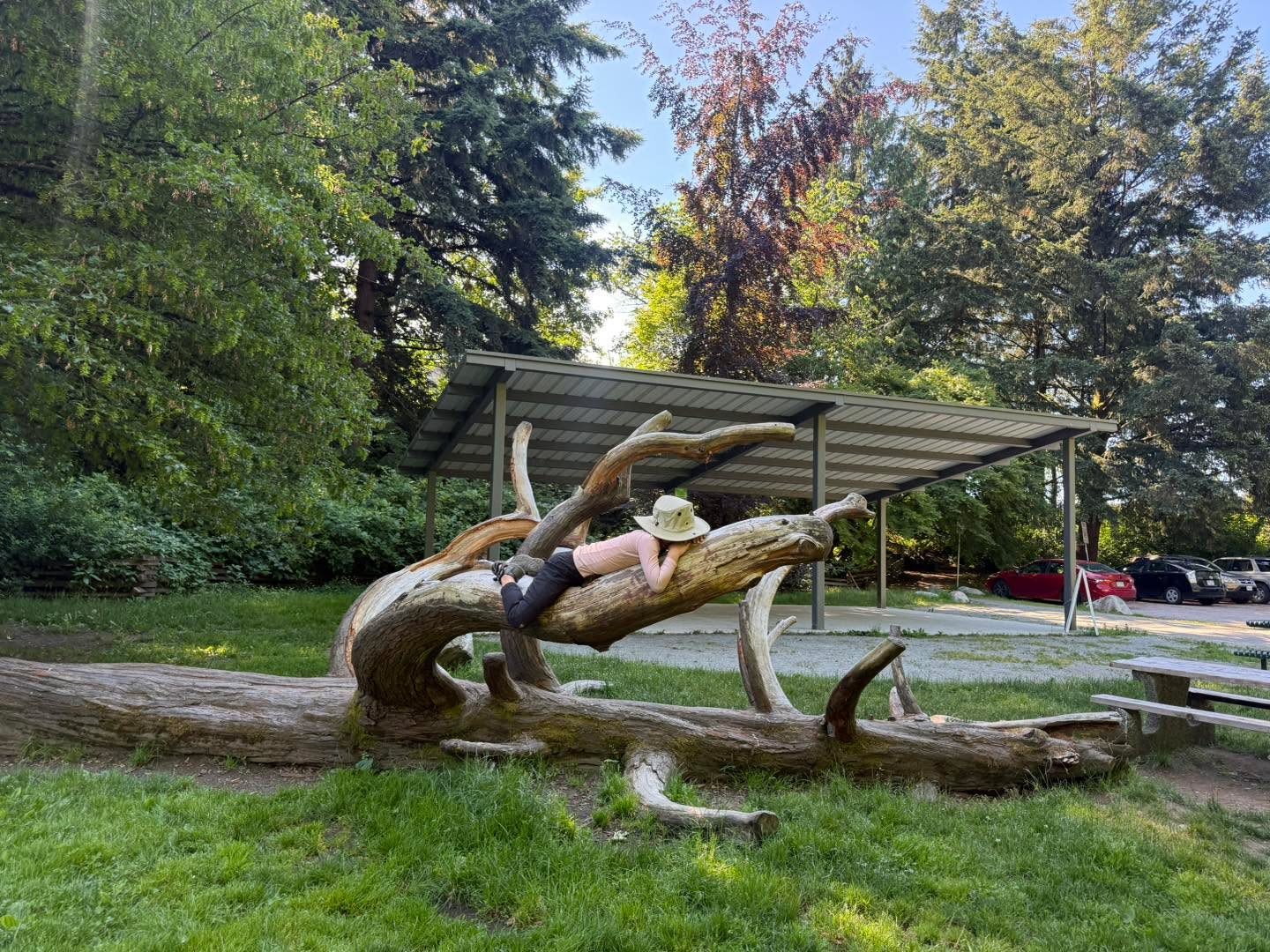 Did you know you can book a covered picnic shelter in North Vancouver parks? 🌿
Perfect for birthday parties, end-of-year class picnics, or just a guaranteed spot for your crew on a sunny weekend. This beauty is at Heywood Park — one of the city’s most natural parks, right off Hamilton Ave with trails, a playground and washrooms all close by.
Bookings are managed by @nvrc_ca through their online portal at nvrc.ca
📍 Heywood Park — 1645 Hamilton Ave, North Vancouver
#nskidsbc #northshorekids #northvancouver #northshorebc #nvrc #northvanparks #northshorefamilies #vancouverfamilies #kidsoutdoors #familyfun #thingstodowithkids #outdoorkids #northshoreevents #picnicseason #familypicnic
