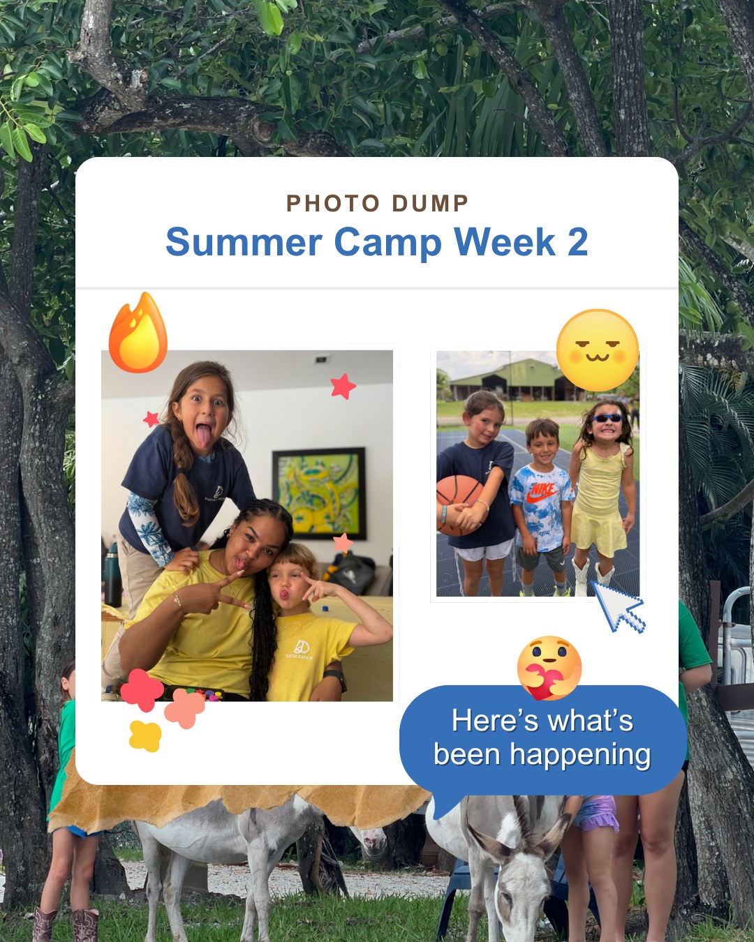 Another five days of Summer fun at the ranch.
(๐ค๐ฐ๐ฎ๐ฎ๐ฆ๐ฏ๐ต ๐พ๐ผ๐๐ ๐ข๐ฏ๐ฅ ๐ธ๐ฆ'๐ญ๐ญ ๐๐ ๐บ๐ฐ๐ถ ๐ญ๐ช๐ฏ๐ฌ ๐ต๐ฐ ๐ณ๐ฆ๐จ๐ช๐ด๐ต๐ฆ๐ณ)
These kids rode, swam, paddled and made friends they'll be talking about all summer.
Swipe through Week 2 ๐ daily riding lessons, swimming with the horses, petting zoo snuggles and lake days that beat any screen.
This is the summer they'll remember.
Week of June 22 is filling fast, comment ๐พ๐ผ๐๐ and we'll DM you the link to register.
#daviefl #summercamp
Summer horseback riding camp in Davie, Florida featuring mounted archery, horseback riding lessons, outdoor adventures, and unforgettable experiences for kids and teens.
๐ Davie, FL | Ages 5โ15