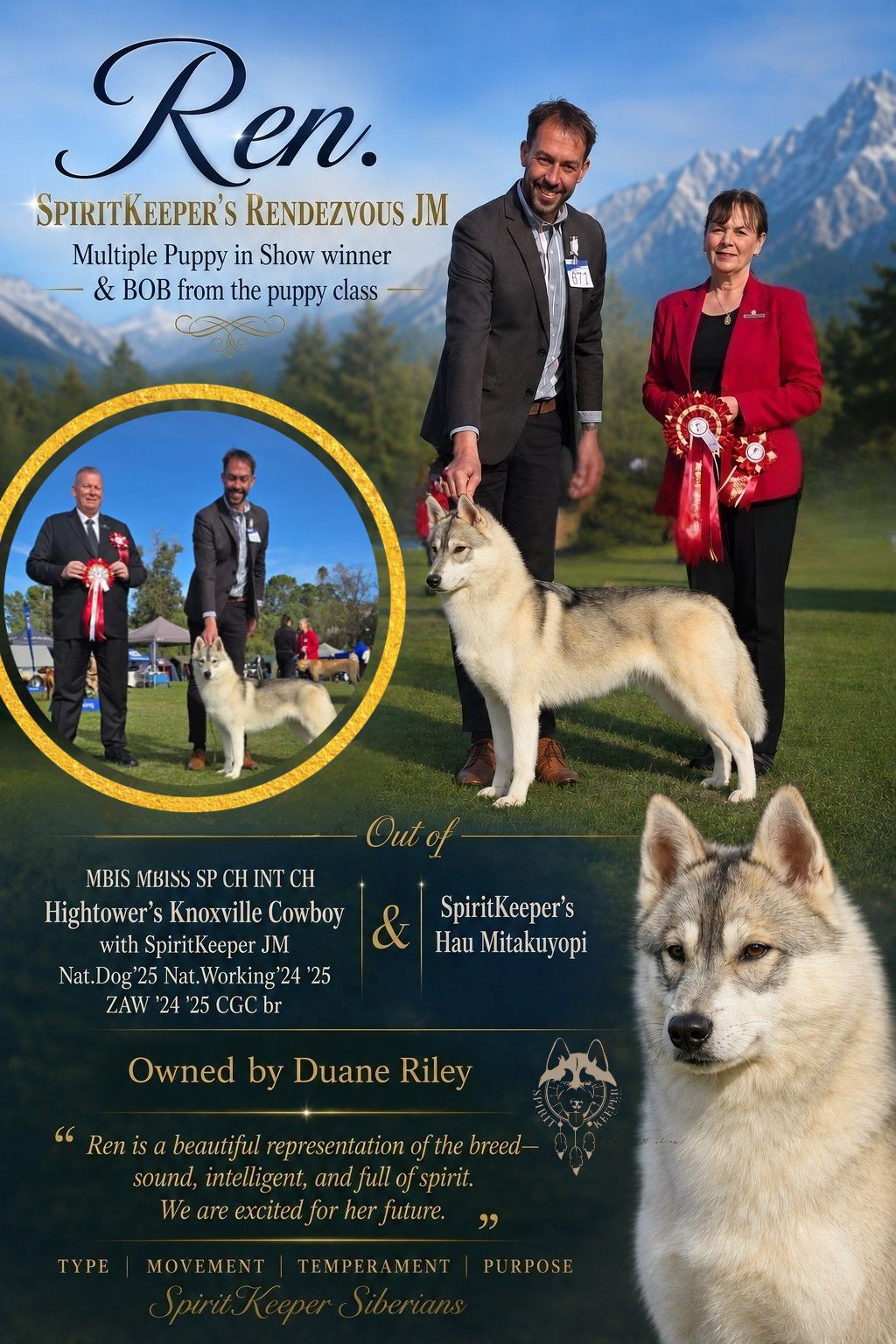 At just 8 months old, Ren is a multiple Puppy in Show winner & taken several BOBs from the minor puppy class.
We are so excited about her future ๐
Ren is out of Knox x Kuyopi.