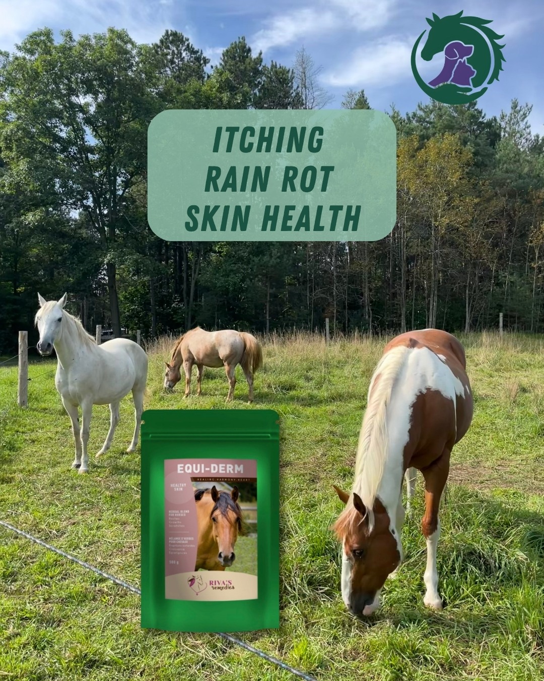 Spring can be tough on sensitive skin. Riva's Remedies Equi Derm is a natural herbal blend formulated to support healthy skin and help horses manage common seasonal skin concerns
Available at HolisticHorseSource.com
Tottenham Pickup | Canada wide shipping