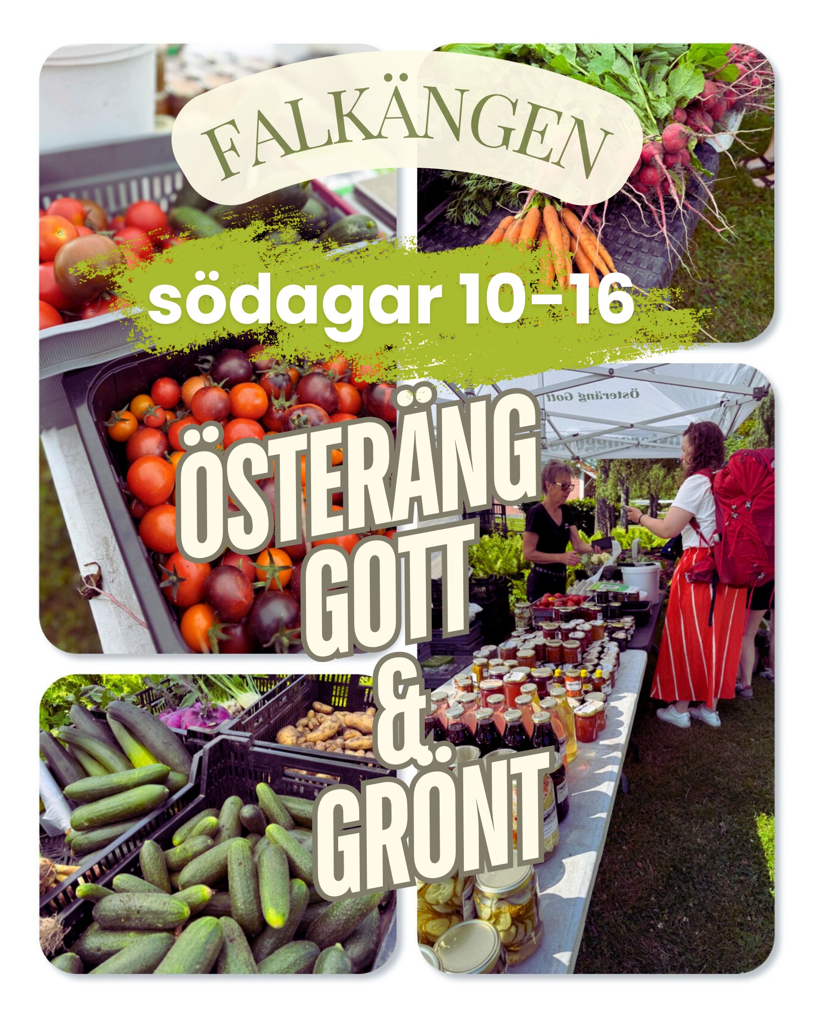 Välkomna att handla idag från Österäng Gott & Grönt!
Kanske inte alla färska grönsaker som bilden visar men dock salladshuvud, kålrabbi, gurka, paprika, sweet banana chili, lök, rädisor och jättefin dill. Det finns dessutom plantor, inläggningar och sylt m.m.