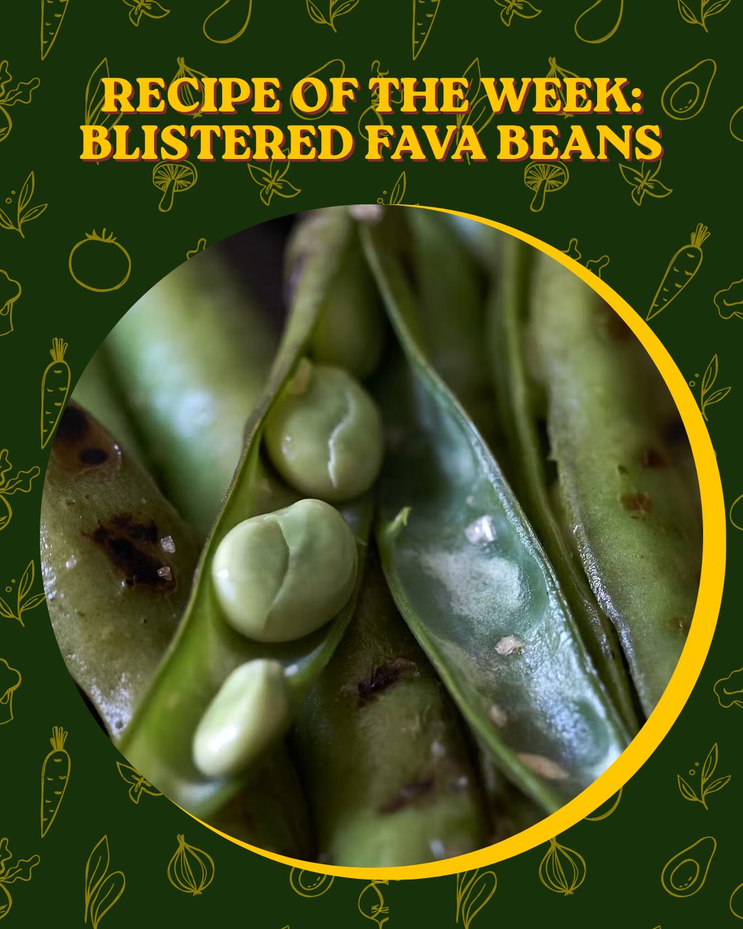 Fava beans, one of nature's most fiber and protein rich veggies, are here! Did you know one of these easiest ways to prepare them is right on a skillet?
INGREDIENTS:
🌿 2 cups Fava Beans
🌿 1 tsp. oil (extra-virgin olive oil or avocado oil)
🌿 Dash of Salt
🌿 Dash of Pepper
🌿 Optional: garlic powder, lemon, rosemary
INSTRUCTIONS:
🌿 Heat oil in a sautee pan over medium heat until oil runs like water around pan
🌿 Add Fava beans (no need to remove beans from shells) to pan and blister until smoky and tender, about 5-10 minutes
🌿 Transfer to plate and season with salt, pepper, garlic, lemon and rosemary if you prefer
#DIYRecipes #DIYRecipesMD #BaltimoreEats #BuyLocalBaltimore #MarylandMade #ChesapeakeRegion #FarmToTable #LocalFood #SupportLocalFarms
