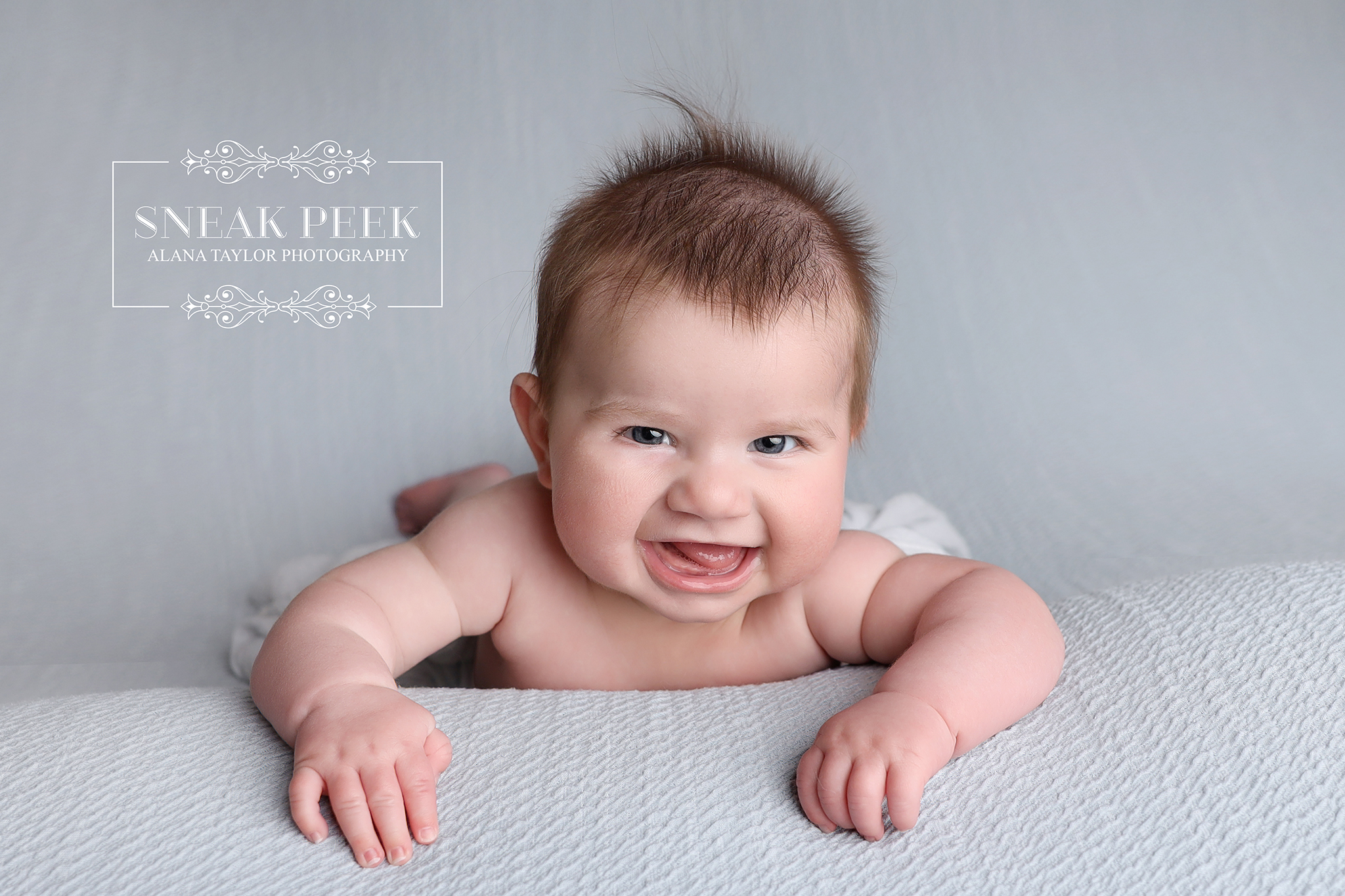 Meet Dean... professional heart thief, certified thigh model and part-time drool machine. 😍🤍
If squishy cheeks, chunky rolls and cheeky smiles were an Olympic sport, this little guy would be bringing home the gold. 🥇😂
The best part? I also photographed big sister Chrissy when she was around four months old, so seeing this gorgeous family back in the studio again is pretty special. Watching families grow is one of the biggest perks of this job. 🥹✨
Parents... can we all agree babies somehow go from tiny newborn potato to sitting up with attitude in about three minutes? 😭
Dean absolutely nailed his Baby Session... although I'm still waiting for him to pay his modelling invoice. 📸😏
#BabyPhotographerMelbourne #MelbourneBabyPhotography #SitterSession #MelbourneMums #SouthEastMelbourne #AlanaTaylorPhotography #BabyMilestones
Melbourne’s Leading Newborn, Baby and Cake Smash Photographer – Book Early!
www.alanataylorphotography.com.au
📅 Limited Availability Alert! 📅
My schedule fills up months in advance. You can book Online Here:
https://www.alanataylorphotography.com/onlinebookings
- Newborn Photography Melbourne
- Smash Cake Photography Melbourne
- Newborn Photographer Melbourne
- First Birthday Cake Smash Photos Melbourne
- Cake Smash Photography Near Me
- Cake Smash Photos Melbourne
- Newborn Photography Near Me
- Newborn Baby Photographer Melbourne
- Cake Smash Photographer Melbourne
- Affordable Newborn Photography Melbourne
#babyphotographymelbourne #babyphotographermelbourne #babyphotographermelbourne #firstbirthdayphotos #smashcakemelbourne #cakesmashfun #firstbirthdaycakesmash #firstbirthdaysmashcake #babyphotographyideas #cakesmashideas #cakesmashsession #firstbirthdaysmashcake #babysmashcakephotos #babyphotosmelbourne #melbournemums #melbournebabyphotographer #cakesmashinspo #alanataylorphotography