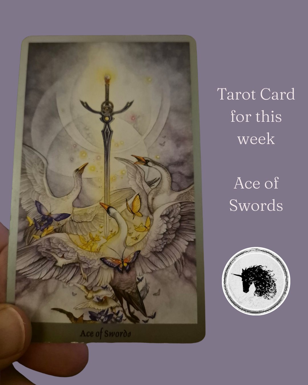 The Ace of Swords
As always, my intention with these readings is to provide a micro look at the energies as they may play out through the week — to be an anchor for your own self discovery and understanding.
This week's card certainly wanted to be seen. It jumped from the deck twice as I was preparing to read.
Traditionally, the Ace of Swords speaks of clarity, truth, new perspectives, understanding, communication, and mental breakthroughs. It represents the beginning of something within the realm of thought, awareness and understanding.
But as I sat with the Shadowscapes imagery, what struck me wasn't the sword itself.
It was the feeling... The word that immediately came to me was: Presentation.
There was a deep sense of something being shown, something wanting to be seen.
This card feels less like searching for answers and more like recognising something that has already been quietly waiting for your attention.
The geese (or maybe they are swans) feel almost like guides or witnesses, drawing your eye towards what matters.
The butterflies speak of transformation and emergence, and a reminder that clarity often arrives after a period of growth, reflection, or change.
This week may invite you to notice:
- a sudden moment of understanding
- a conversation that cuts through confusion
- finally finding the words for something you've been feeling
- making a decision you've been postponing
- receiving information that changes how you view something
- simplifying something you've been overcomplicating
The other thing I notice in the Shadowscape card was the dance of the the yellow and purple, I read it like a meeting point between awareness and intuition... between what we know and what we sense.
This feels like a week of noticing; what is wanting / asking to be SEEN... what is being SHOWN to us... what is becoming CLEARER
Travel gently.
Notice what lands. Trust it stays for a reason.
Blessings x
Priestess Clan Mother
Tracy-Lee 🦄💛