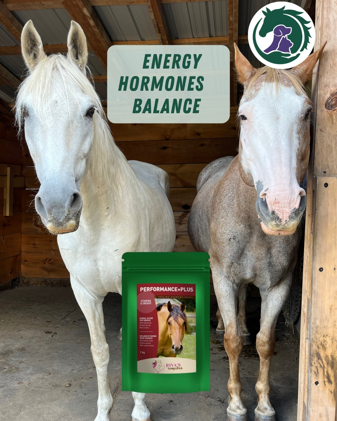 Riva's Remedies Performance Plus is a natural herbal blend designed to support energy, vitality, and overall well-being. Ideal for horses needing extra support to help them feel their best.
Available at HolisticHorseSource.com
Tottenham pickup | Canada-wide shipping
#RivasRemedies #HorseHealth #EquineWellness #NaturalHorseCare #HorseSupplements