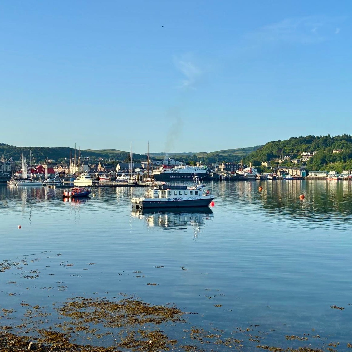 A quieter Oban morning after a very busy week behind the scenes 🌅
We love an early morning in Oban.
Before the day gets busy, before the ferries fill up, and before the to-do list properly starts, there’s something special about seeing the town a little quieter.
And this week has definitely had a to-do list.
Behind the scenes at Oban Holiday Lets, we’ve been working through a major system migration - the kind of work guests and owners may not always see, but that makes a real difference to how smoothly everything runs.
Guest messages.
Booking information.
Owner updates.
Cleaner notifications.
Direct bookings.
Check-in details.
Property information.
All the small moving parts that sit behind a well-managed stay.
So this morning view felt like a good reminder of why it’s worth getting the details right.
Because at the end of it all, the aim is simple: well-prepared properties, clear guest communication, a smoother stay, and helping our guests make the most of Oban while they’re here.
Now back to the to-do list!
#ObanHolidayLets #VisitOban #Oban #WestCoastScotland #SelfCateringScotland