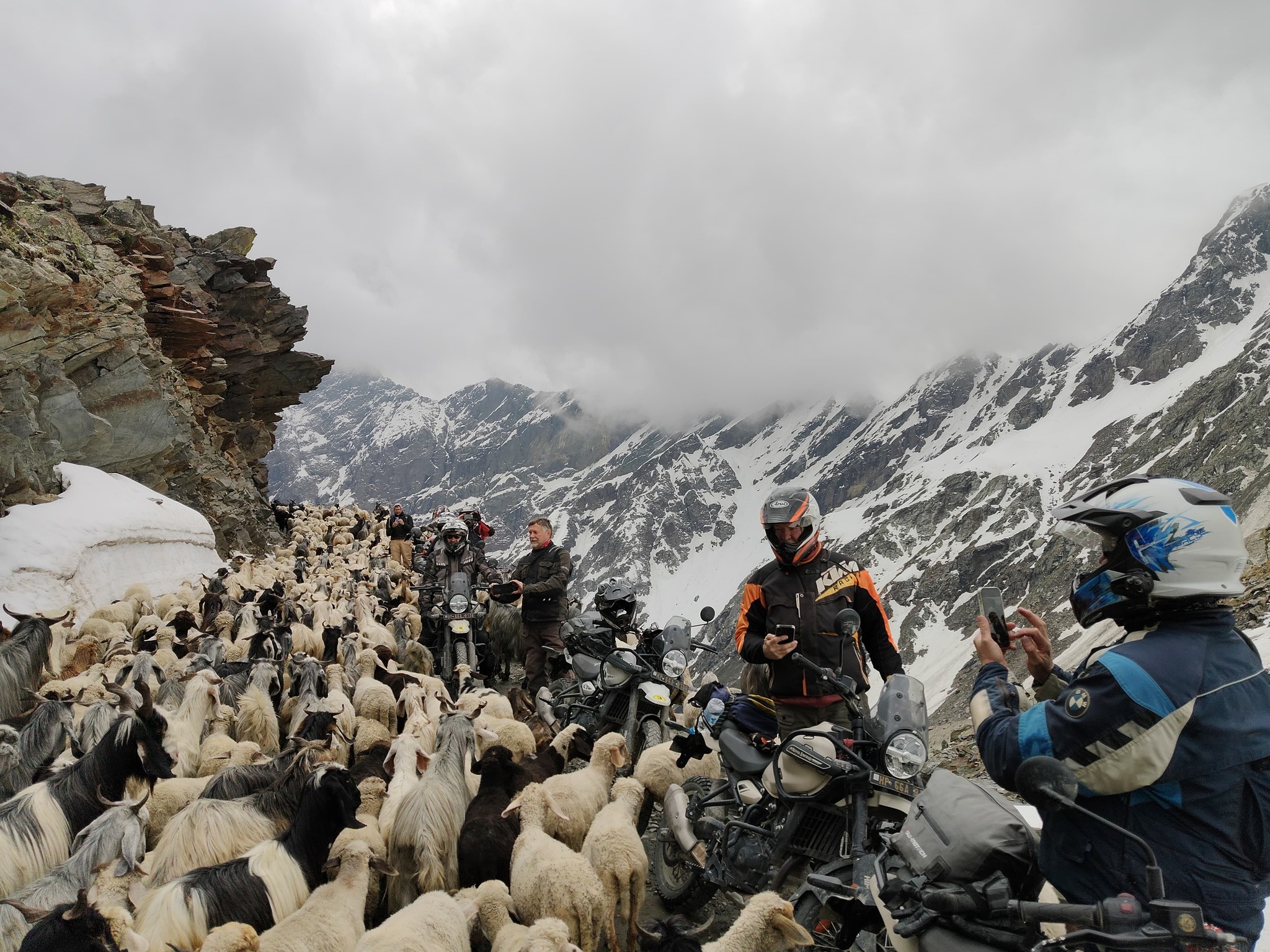 Himalayan Traffic Jam
When hundreds of mountain goats have the right of way, you simply stop and enjoy the moment.
Not every delay is a bad one.
#HimalayanLife #MountainTraffic #RideIndia #AdventureStories