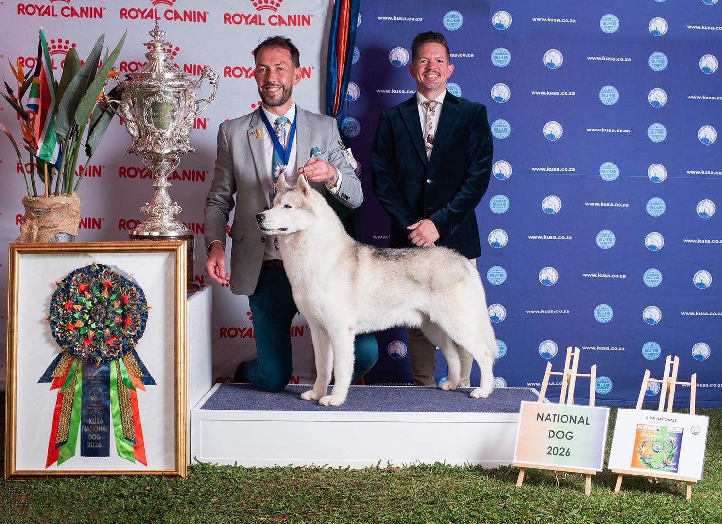 KUSA NATIONAL DOG 2026
MBIS MBVIS BISS SP CH SUMMERSIM TITANIUM NAT.DOG'26 NAT.WORKING '23'26 ZAW'22 CGC BR
Titan wins the coveted title under judges: Mikael Nilsson ๐ธ๐ช, Maลgorzata Supronowicz ๐ต๐ฑ, Dr. T Borkowski ๐ต๐ฑ at 7.5 years old.
๐ท Cathy Dooley