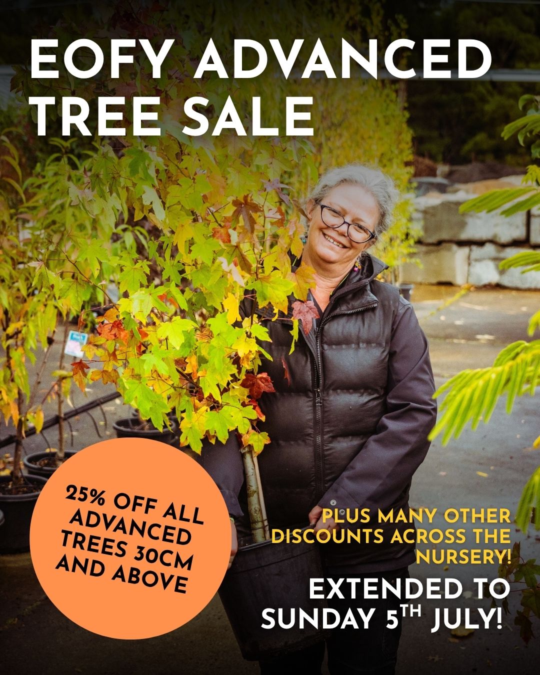 SALE EXTENDED TO CLOSE OF BUSINESS THIS SUNDAY 5TH JULY 🌲 The EOFY sale at Macedon Nursery & Garden Supplies takes 25% off all advanced trees, anything 30cm and above, until 30th June.
We will also have various discounted items to clear across the nursery, so keep an eye out or ask our staff.
The range covers ornamental trees, maples, olives, flowering varieties and more. Delivery available locally 7 days.