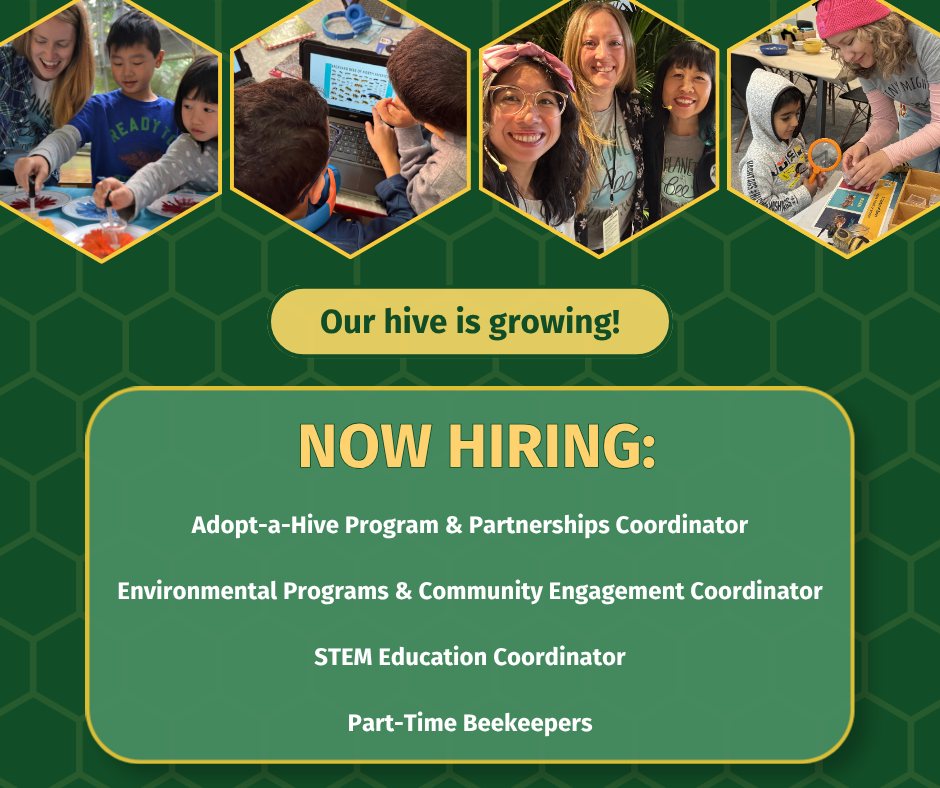 We're hiring! 🐝✨ Our hive is growing and we're looking for some amazing people to join our team.
We have FOUR open roles right now — from Bay Area beekeepers and program coordinators to a STEM education contractor. Whether you're passionate about pollinators, environmental education, or building community partnerships, there might be a spot with your name on it. 🌻
Learn more and apply today 👉link in our bio!
#NowHiring #NonprofitJobs #EnvironmentalEducation #STEMEducation #conservation