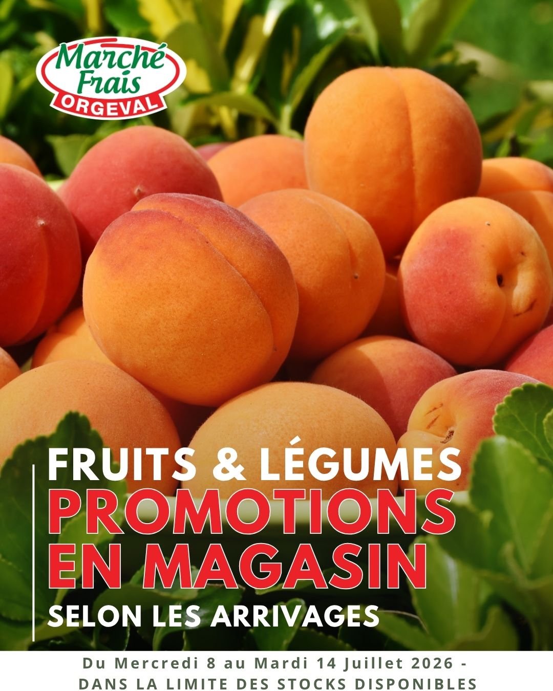 Cette semaine, petit changement pour nos offres fruits & légumes.
đ
Du 8 au 14 juillet, nos promotions seront proposées au jour le jour, en fonction des meilleurs arrivages et des opportunités du marché.
đ„đ Chaque jour, vous pourrez les dĂ©couvrir directement en magasin, mais aussi dans nos stories, oĂč nous vous prĂ©senterons les offres du moment.
Voici quelques idées de recettes :
- Le coquelet : rĂŽti au citron et thym âą aux herbes de Provence âą au miel et romarin.
- Les andouillettes de Troyes : grillées sauce moutarde à l'ancienne ⹠au vin blanc et échalotes ⹠au barbecue avec une salade de pommes de terre.
Ă trĂšs vite au MarchĂ© Frais Orgeval đ
#marchefraisorgeval #fruitsetlegumes #mangersain #yvelines #recetteété