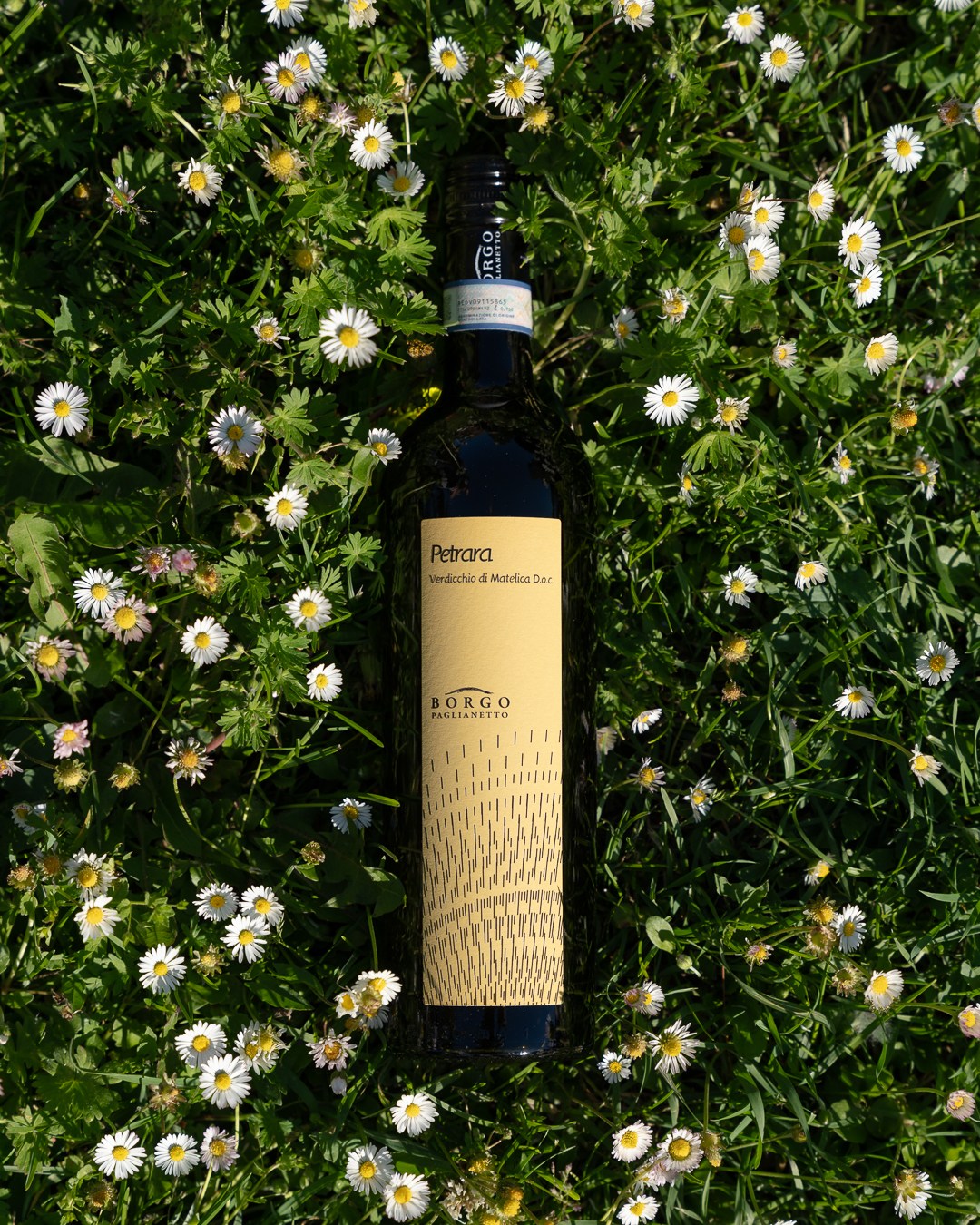FACT #4
Perché Borgo Paglianetto ha scelto lo Stelvin?
Perché il Verdicchio di Matelica possiede caratteristiche uniche: freschezza, acidità, mineralità e una straordinaria capacità di evolvere nel tempo.
Lo Stelvin ci permette di custodire questo patrimonio bottiglia dopo bottiglia, preservandone precisione aromatica, integrità e potenziale di invecchiamento.
Non è una scelta di tendenza.
È una scelta di coerenza.
Con il nostro territorio.
Con il nostro modo di fare vino.
Con il futuro del Verdicchio di Matelica.
_________
Why did Borgo Paglianetto choose Stelvin?
Because Verdicchio di Matelica has unique characteristics: freshness, vibrant acidity, pronounced minerality, and an extraordinary ability to evolve over time.
Stelvin allows us to preserve this heritage bottle after bottle, safeguarding its aromatic precision, integrity, and ageing potential.
It is not a trend-driven choice.
It is a choice of consistency.
With our land.
With our way of making wine.
With the future of Verdicchio di Matelica.
#PerchéStelvin #BorgoPaglianetto #VerdicchioDiMatelica #Petrara #Terravignata #Ergon