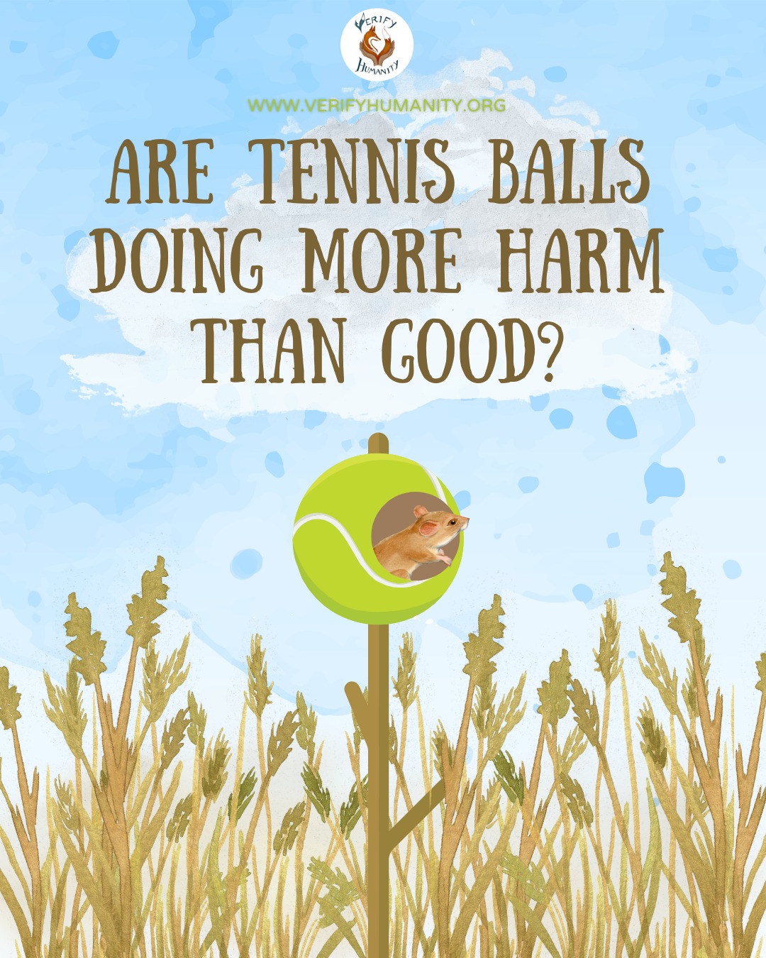Not all good intentions help wildlife 🎾
While repurposing tennis balls for harvest mice homes may seem like a kind gesture, it's crucial to consider the potential drawbacks.
Harvest mice weave complex spherical nests from grasses and rushes. If generations of harvest mice grow to become dependent on mankind for these plastic nests, this could disrupt their natural nesting skills and behaviour, ultimately making them less able to survive in the wild without our help.
This practice not only disrupts the mice's natural nesting behaviours but also contributes to plastic pollution and alters natural selection processes. These can have unintended consequences for the harvest mice population in the long run. Let's focus on preserving natural habitats and supporting wildlife in ways that truly benefit them. 🌿🐭
@wimbledon
#HarvestMice #WildlifeConservation #ProtectNaturalHabitats #EcoFriendly #SustainableConservation #PlasticPollution #NaturalSelection #ConservationAwareness #Wimbledon