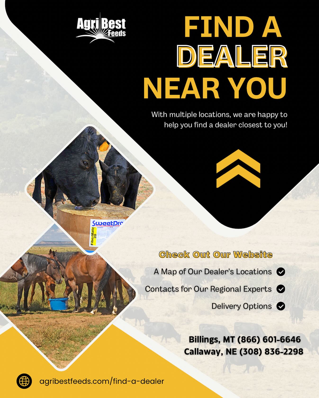 Looking for AgriBest Feeds near you?
Find your local dealer and keep your livestock performing at their best — no matter the season. 💪
👉 Visit agribestfeeds.com and click “Find a Dealer” to get started today!
#AgriBestFeeds #LivestockNutrition #FindADealer #RanchReady #BetterFeedBetterResults