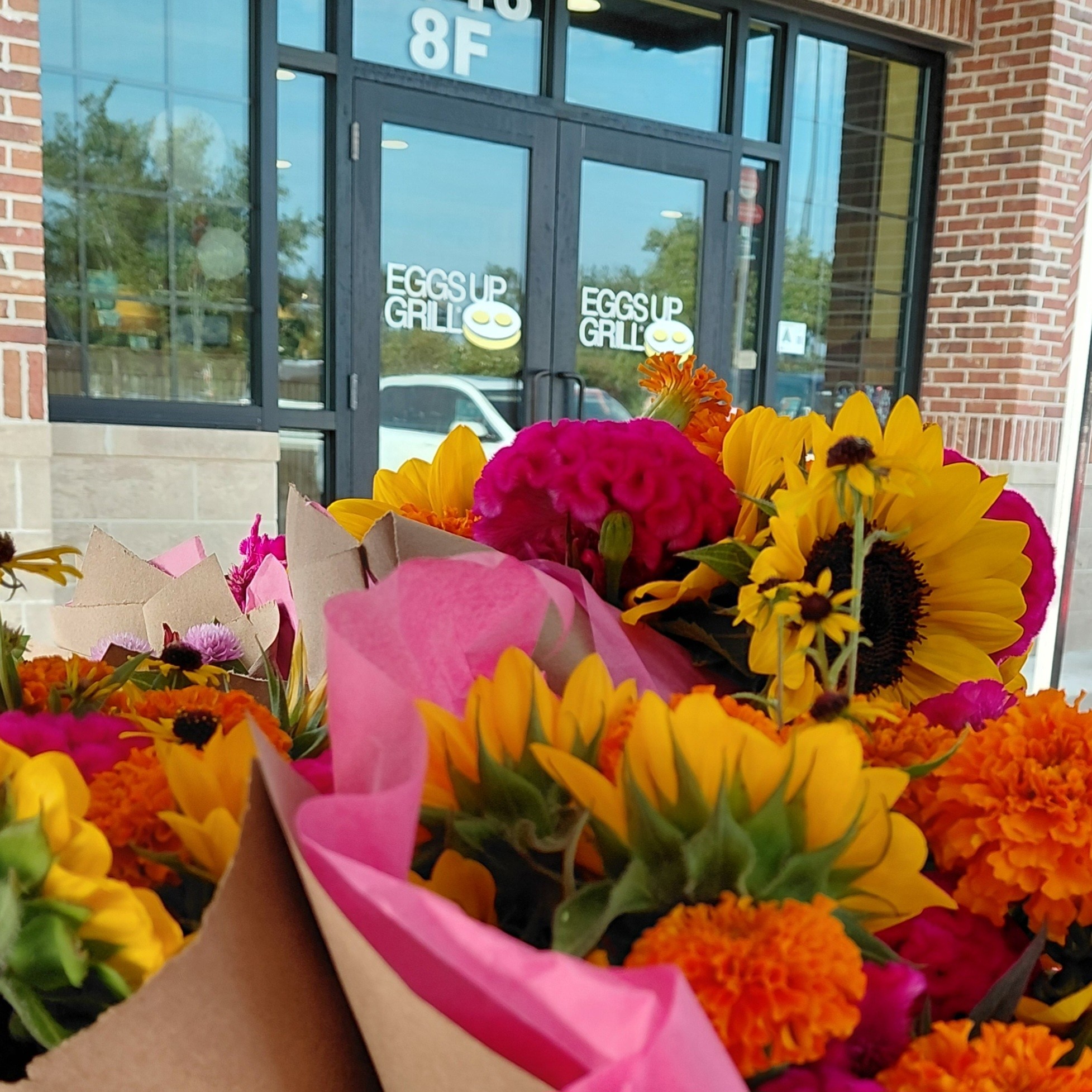 Sunday Morning Bouquet Time! Come by Eggs Up Grill in Cane Bay for your Breakfast and a Bouquet!! It's the last of our Large, Vibrant Coral-looking Celosia for a while, so grab it while it lasts!
We'll be out until 2pm today. See you soon!
@eug_charleston
@followers