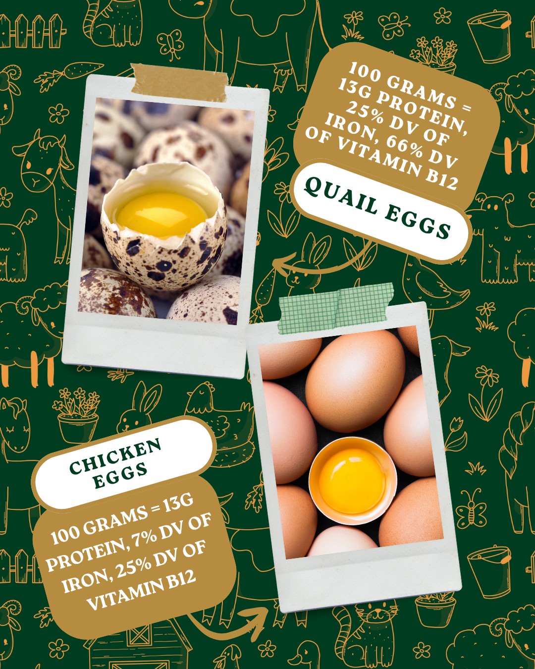 Did you know cf2t has quail eggs from @northacresfarm? 100 grams of quail eggs is the same amount of protein has normal chicken eggs with triple the iron, vitamin B12, and flavor 🥚
#MarylandEggs #MarylandQuailEggs #quaileggs