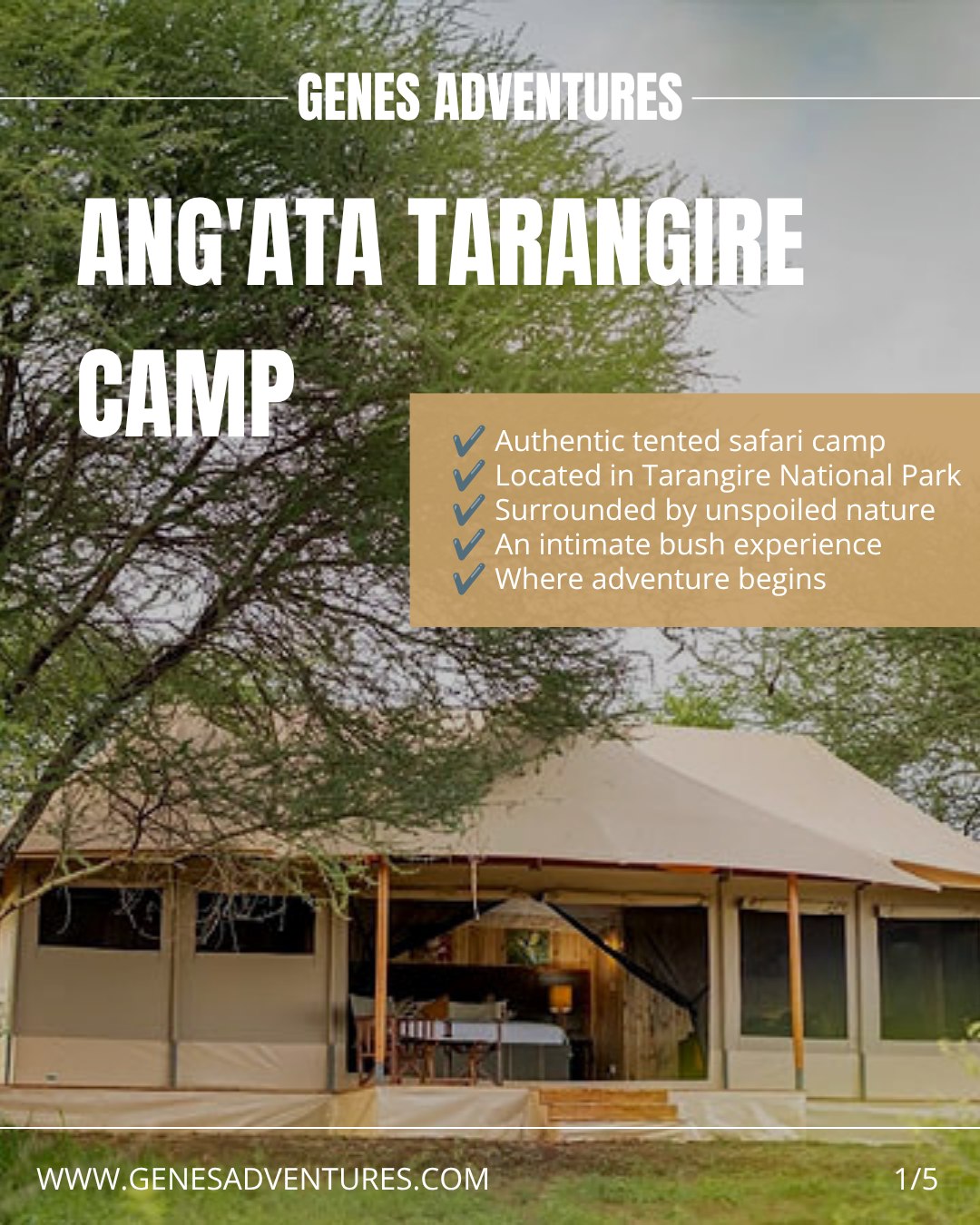 ✨ Accommodation Spotlight: Ang'ata Tarangire Camp ✨
Experience the authentic spirit of the African bush at Ang'ata Tarangire Camp. 🌿🐘
Nestled inside Tarangire National Park, this intimate tented camp combines comfortable accommodation with warm hospitality, delicious dining, and the peaceful atmosphere of the wilderness.
Wake up surrounded by nature, spend your days exploring one of Tanzania's most iconic parks, and unwind each evening in the heart of the bush. ✨
📩 Ready to include Ang'ata Tarangire Camp in your tailor-made Tanzania safari? We'd love to help create your perfect journey.
🔗 Link in comments (Facebook) | Link in bio (Instagram)
#genesadventures #tarangire #tanzania #safaricamp #authenticsafari