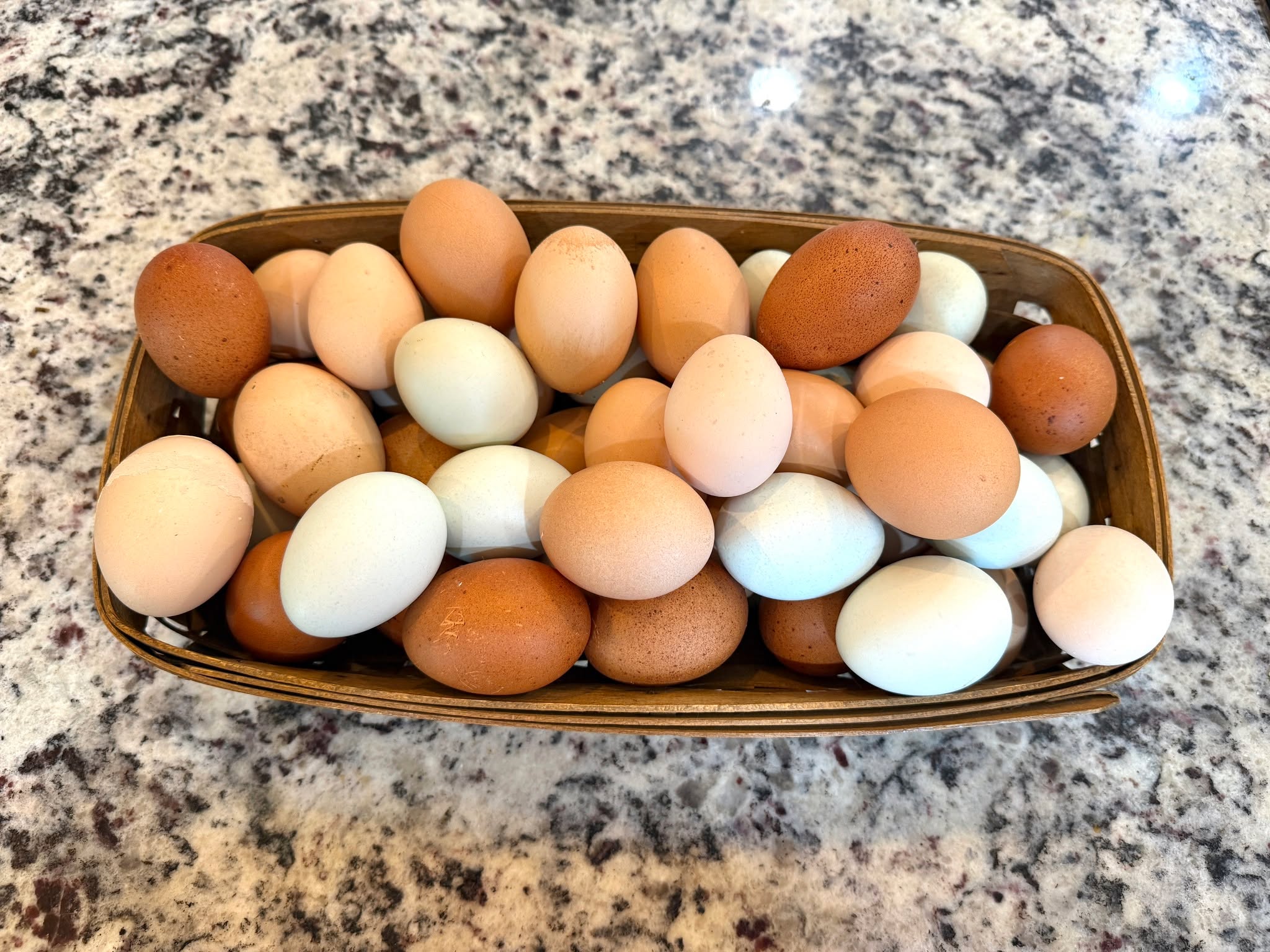 We are overflowing with eggs around here and are looking for some extra customers for our delicious and healthy farm-fresh eggs.
Our hens are raised right here at County Corner Farm and are fed non-GMO grain from our local Amish, giving you fresh, flavorful eggs your family will love.
✨ Why choose farm-fresh eggs?
🥚 Rich, golden yolks
😋 Incredible flavor
💪 Naturally packed with high-quality protein and essential nutrients
🌾 Laid by hens fed non-GMO grain
🏡 Fresh from our farm to your table
❤️ Supporting a local family farm
💲 Just $4 per dozen!
📍 Pick up at the farm, or if you attend LaFontaine Christian Church, I'll happily bring your order to church every Sunday!
Message me to reserve your dozen (or two...or three)! Once you taste the difference, grocery store eggs just aren't the same. 🥚🐓