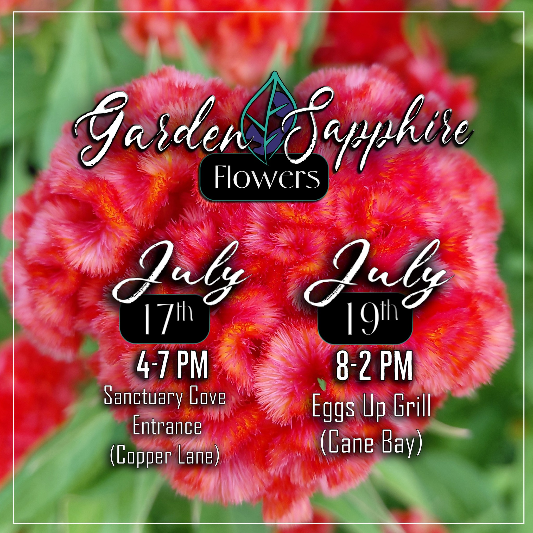 Getting ready for another HOT Friday Flower Stand!
We will be at our Friday Stand location outside the Second Entrance to Sanctuary Cove (at Copper Lane) 4-7pm, and Sunday outside Eggs Up Grill in Cane Bay 8-2pm.
This week we have these Orange, Fuzzy, Brain-looking Celosia that you will love!
Looking forward to seeing you! Have a great weekend.
@followers