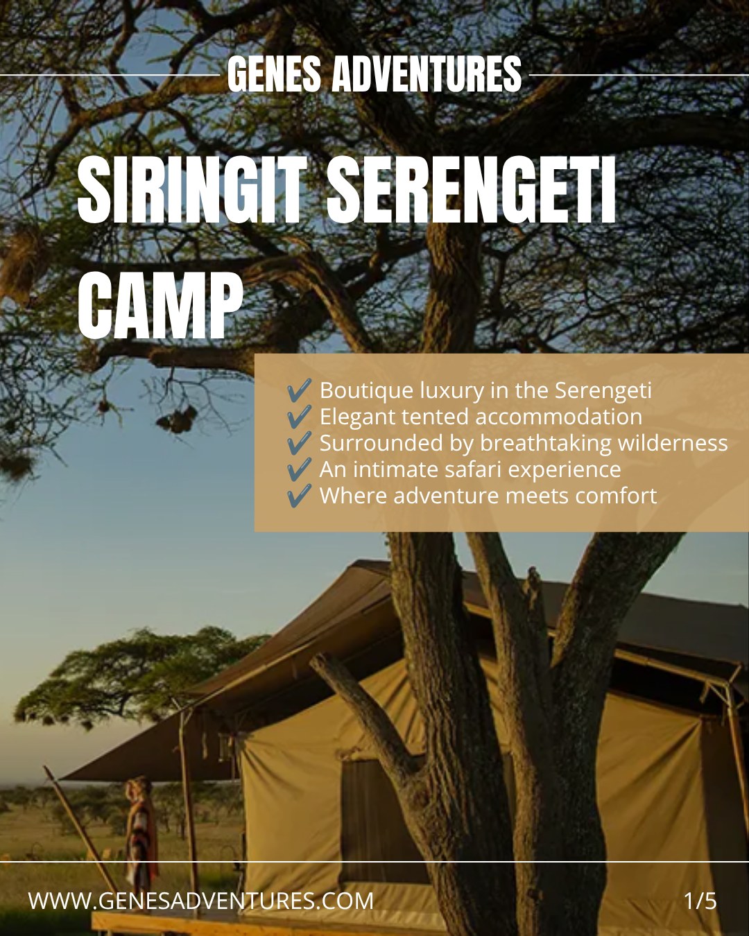✨ Accommodation Spotlight: Siringit Serengeti Camp ✨
Experience the Serengeti in a setting where luxury and nature exist in perfect harmony 🐘🌅
Siringit Serengeti Camp offers elegant tented accommodation, exceptional hospitality, and breathtaking surroundings—creating an unforgettable safari experience from sunrise to sunset.
Whether you're enjoying beautifully crafted cuisine, relaxing in your private tent, or watching wildlife roam the endless plains, every moment is designed to immerse you in the magic of the Serengeti.
📩 Ready to include Siringit Serengeti Camp in your tailor-made Tanzania safari? We'd love to help you create your perfect journey.
🔗 Link in comments (Facebook) | Link in bio (Instagram)
#genesadventures #serengeti #tanzania #luxurysafari #boutiquecamp