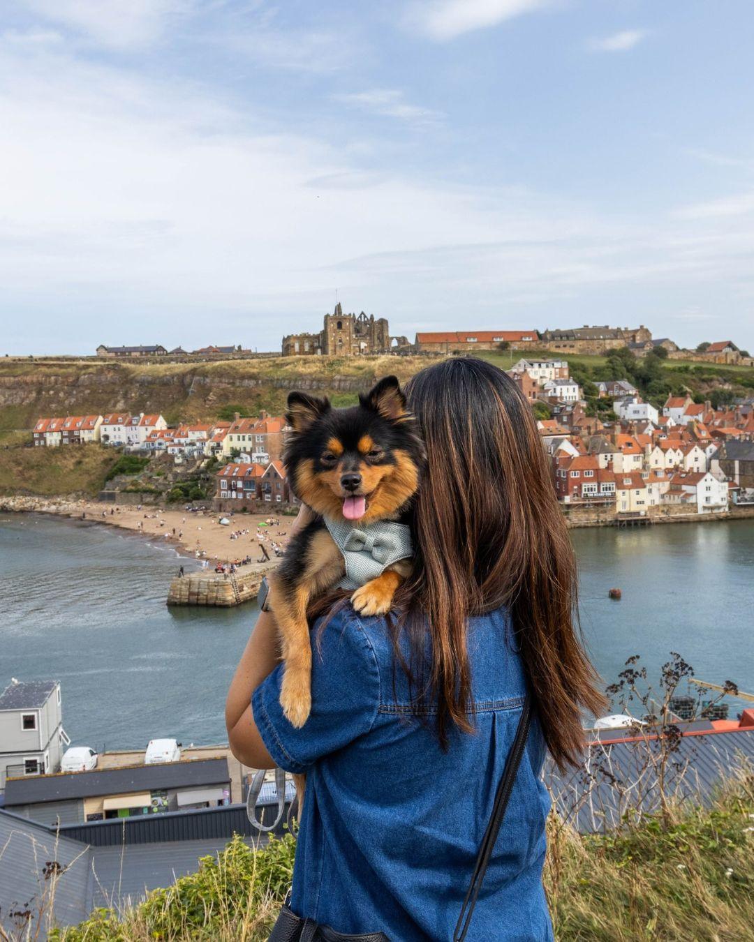 Postcards from North Yorkshire 💌
Taken by some of our wonderful followers 📸👏
🐶 Whitby - @giz.giz.ginna
❤️ Pateley Bridge - @from_yorkshire_and_back
🦢 Cygnet at @ntfountainsabbey - @snapshots.by.isaac
🥾 Silver Hill, Nidderdale - @cosylittlehaven
🍦 Knaresborough - @roamingroshi
😍 The Wainstones - @amy.charlotte3
💛 Hovingham - @alexisblues_
🐑 Whernside - @kendle.reads
🏰 Richmond - @mikewrightimages
🌊 Staithes - @somewherewithsaz
#VisitNorthYorkshire #TheresMoreToNorthYorkshire #YorkshireDay