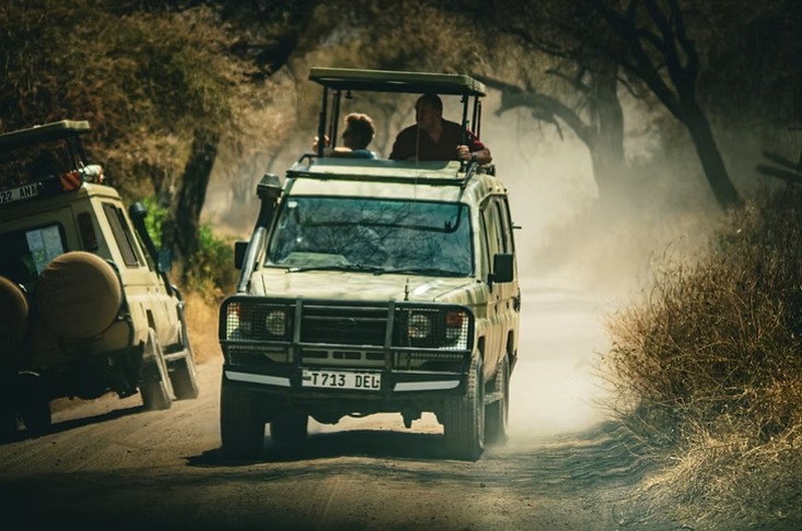 🌍 New Blog Alert: Best Time to Visit Tanzania 🇹🇿
Planning your Tanzania adventure but not sure when to go?
Our latest blog explains the best time to visit Tanzania for:
🦁 Safari
🏔️ Mount Kilimanjaro
🌴 Zanzibar
🦓 The Great Migration
Discover what each season has to offer and find the perfect time for your unforgettable journey.
📖 Read the full blog via the link in our bio.
Which Tanzania experience is at the top of your bucket list? Tell us below! 👇
#BestTimeToVisitTanzania #TanzaniaSafari #MountKilimanjaro #Zanzibar #GenesAdventures